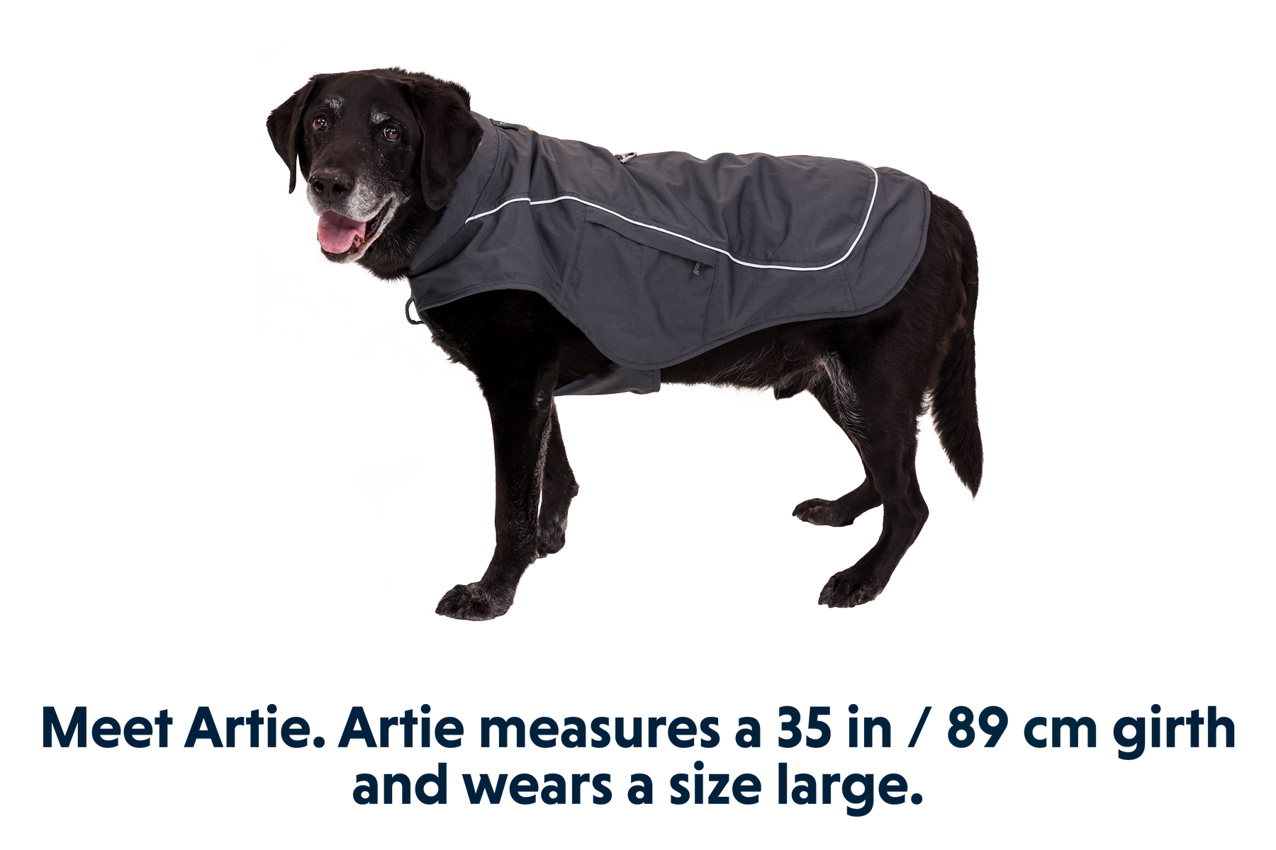 Overcoat Fuse™ Dog Jacket