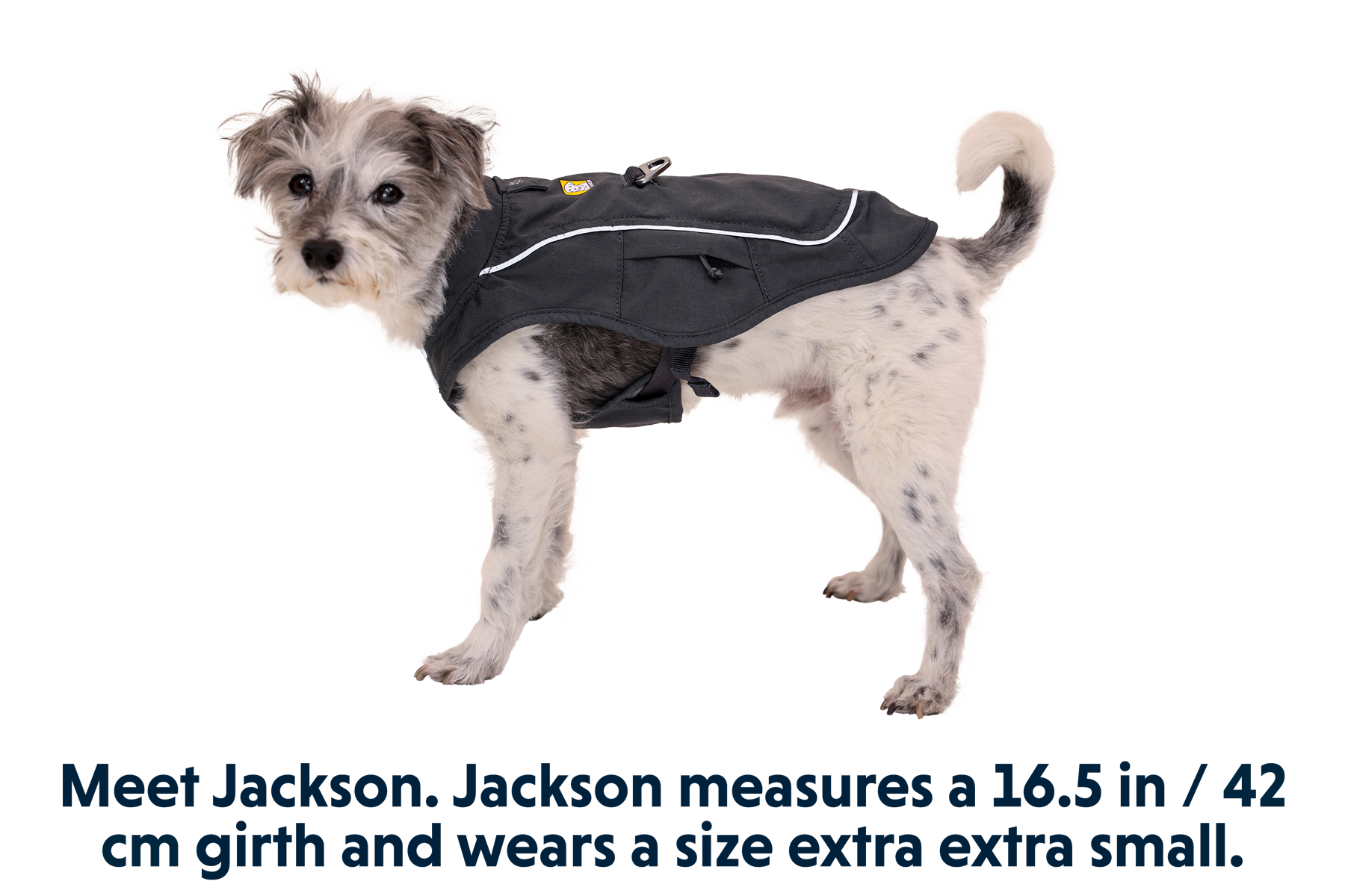 Overcoat Fuse™ Dog Jacket