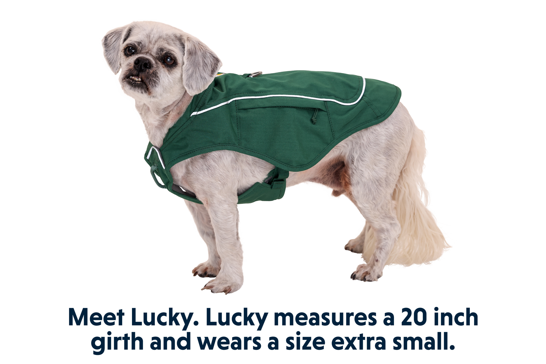 Overcoat Fuse™ Dog Jacket