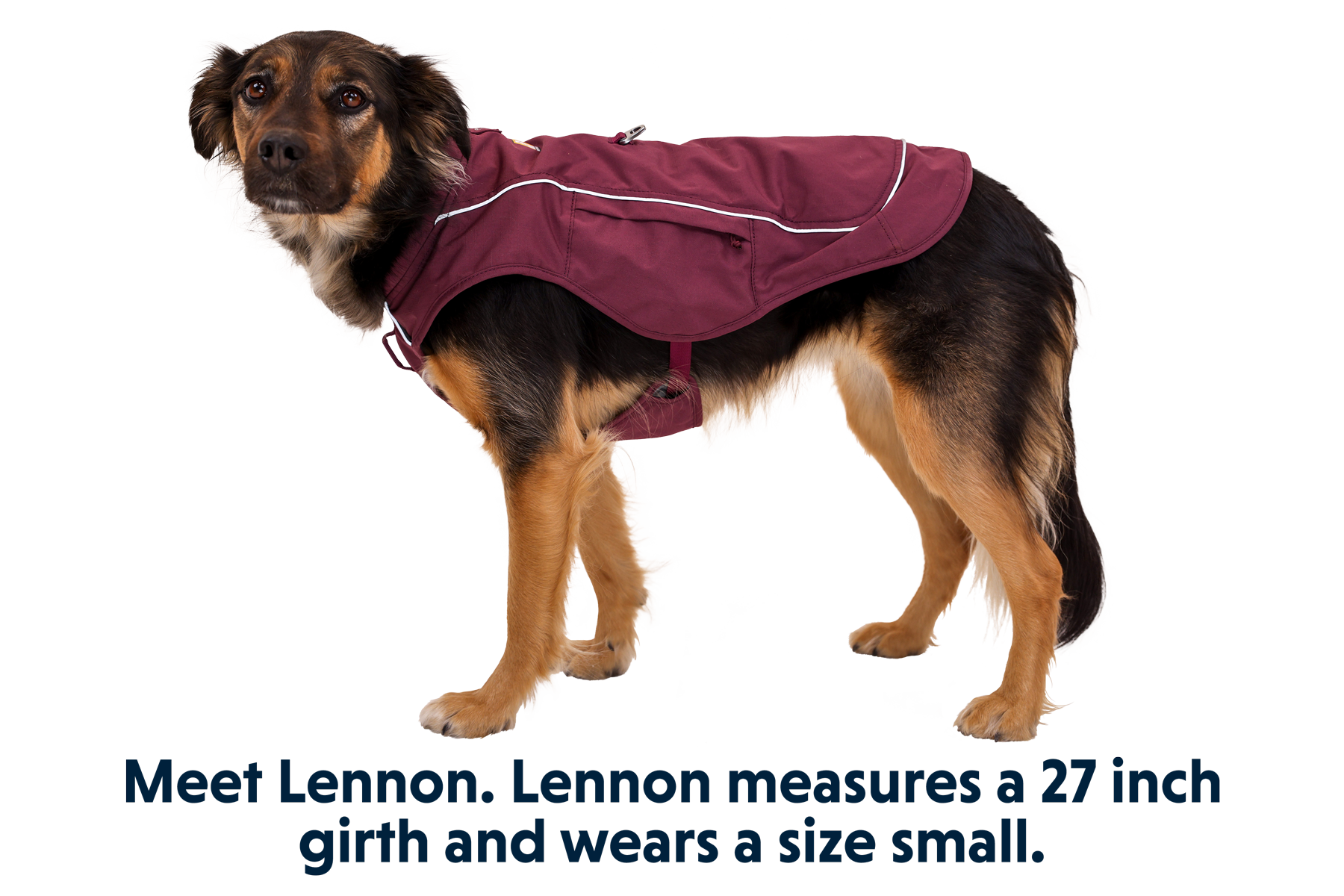 Overcoat Fuse™ Dog Jacket