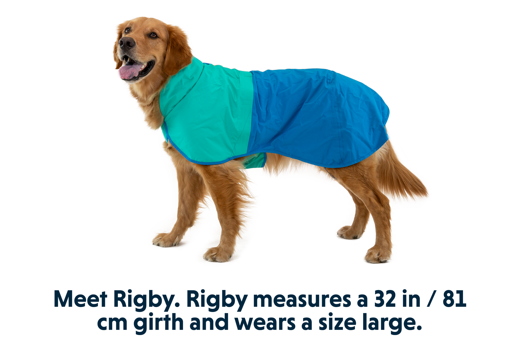 Sun Shower™ Dog Raincoat