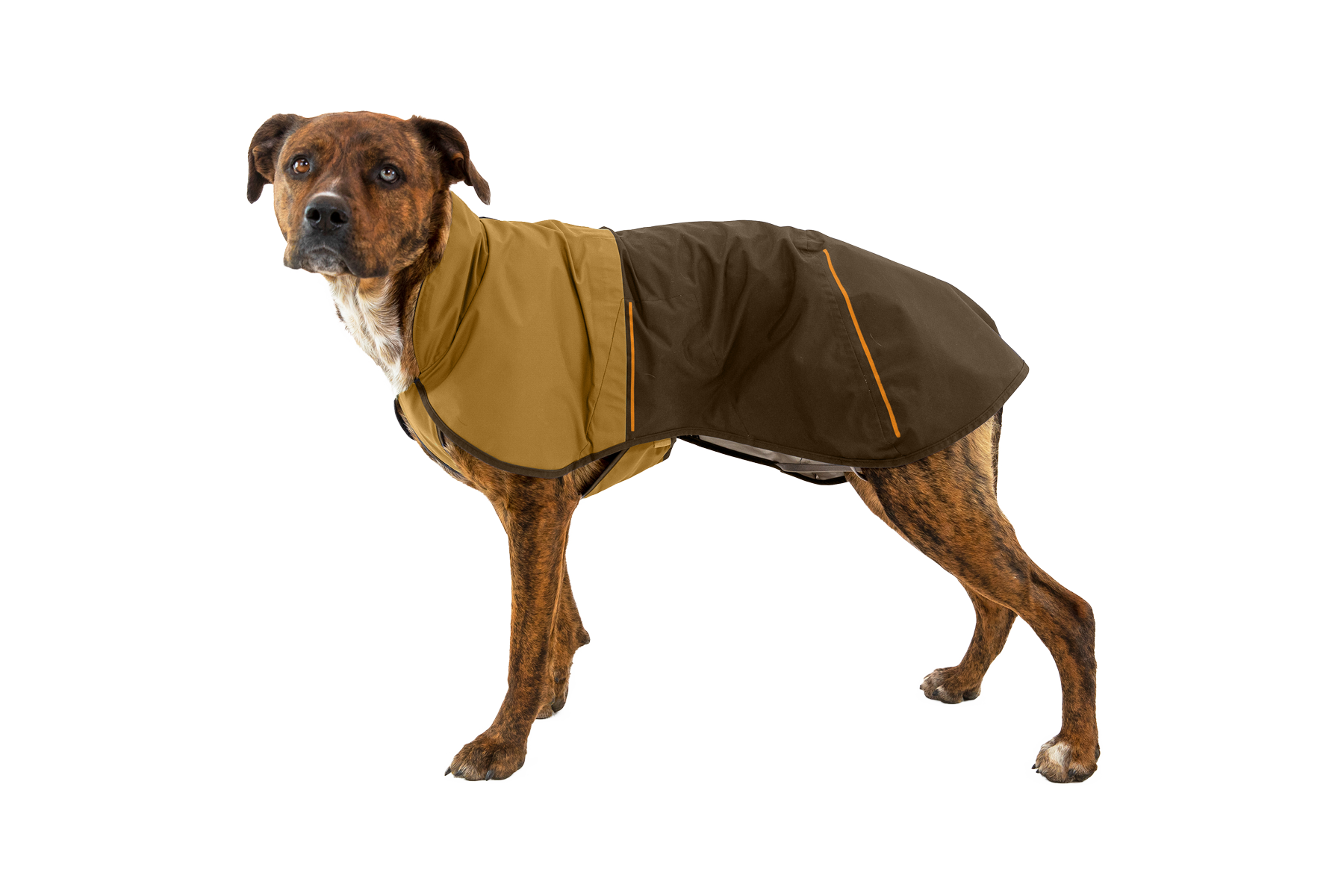 Sun Shower™ Dog Raincoat