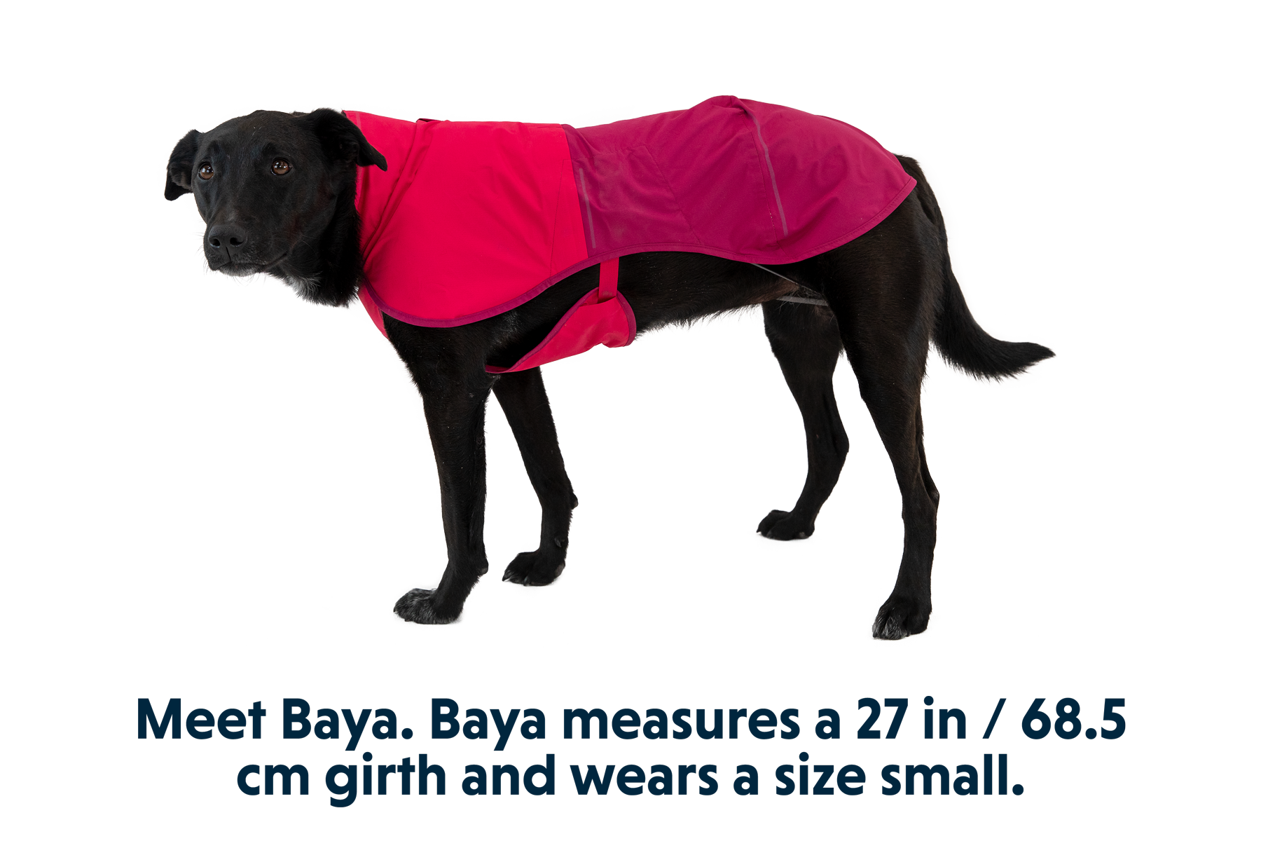 Sun Shower™ Dog Raincoat