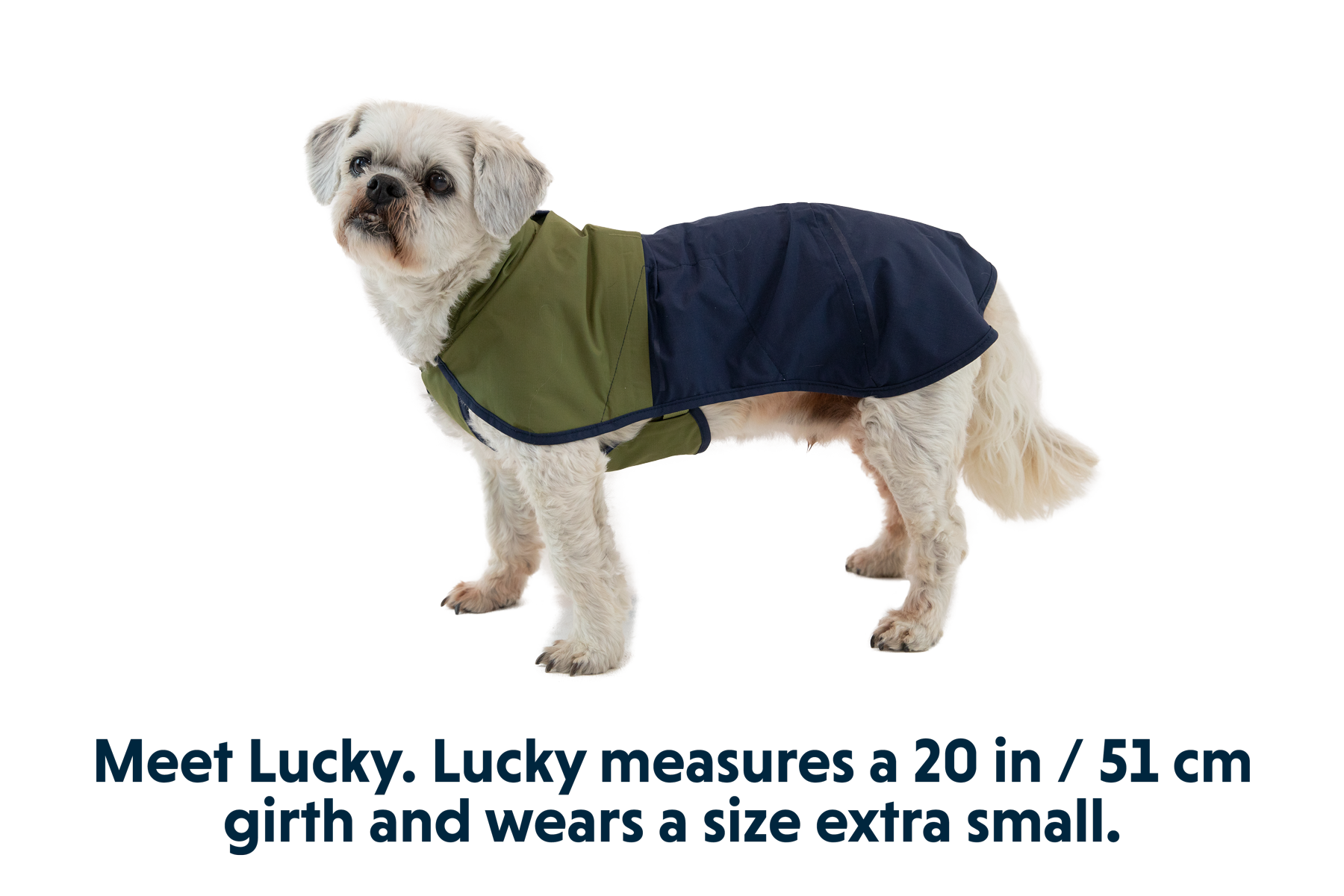 Sun Shower™ Dog Raincoat