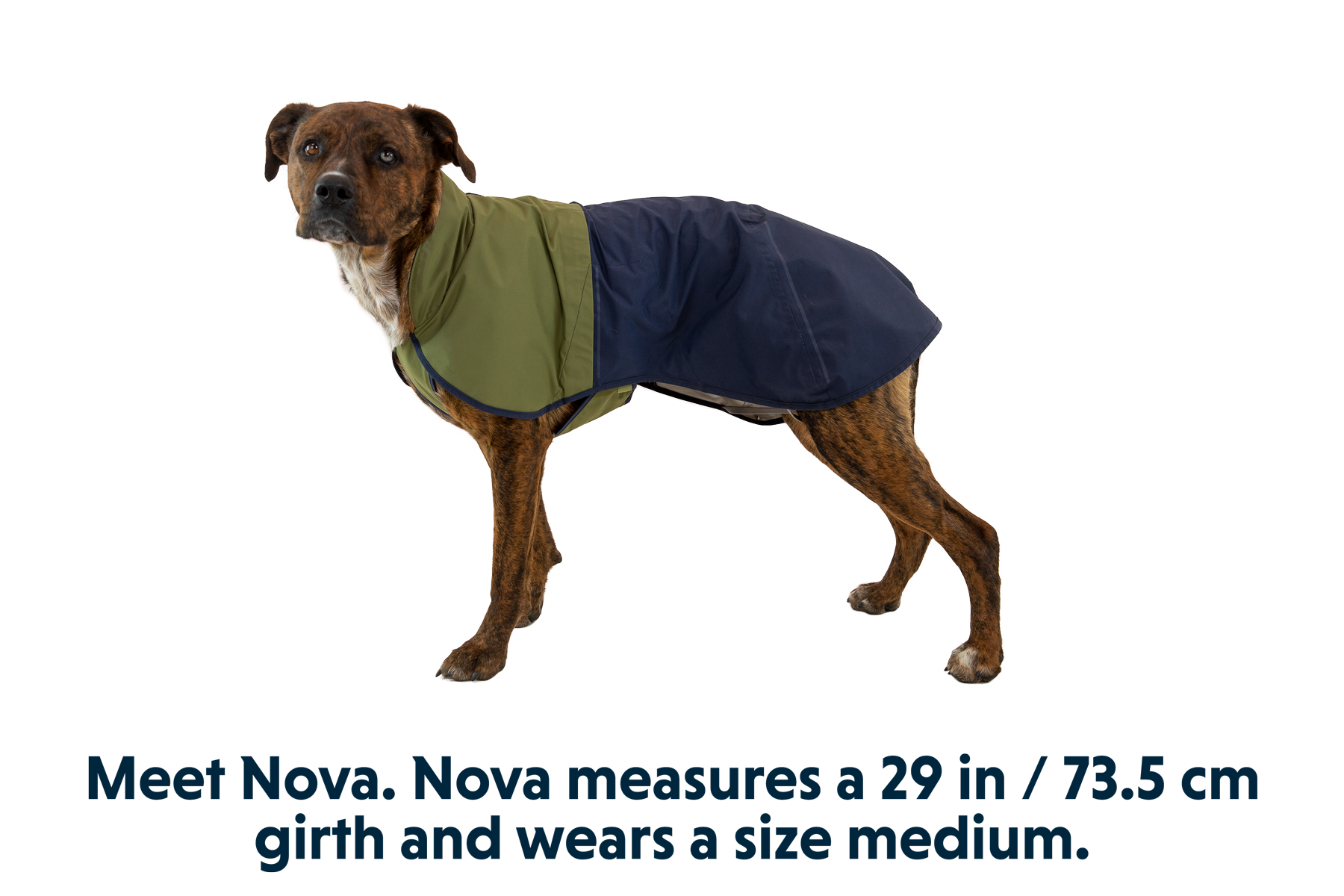 Sun Shower™ Dog Raincoat