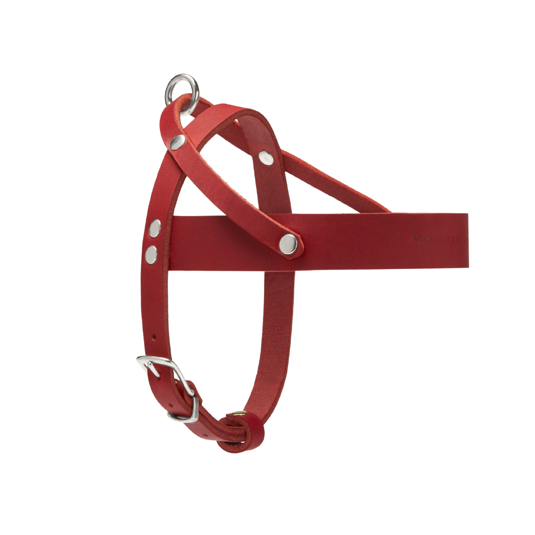 Butter Leather Dog Harness - Chili Red