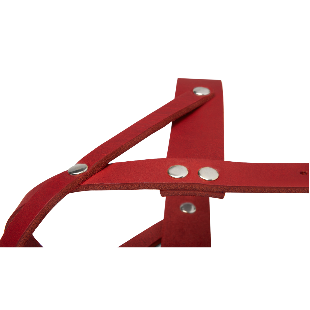 Butter Leather Dog Harness - Chili Red