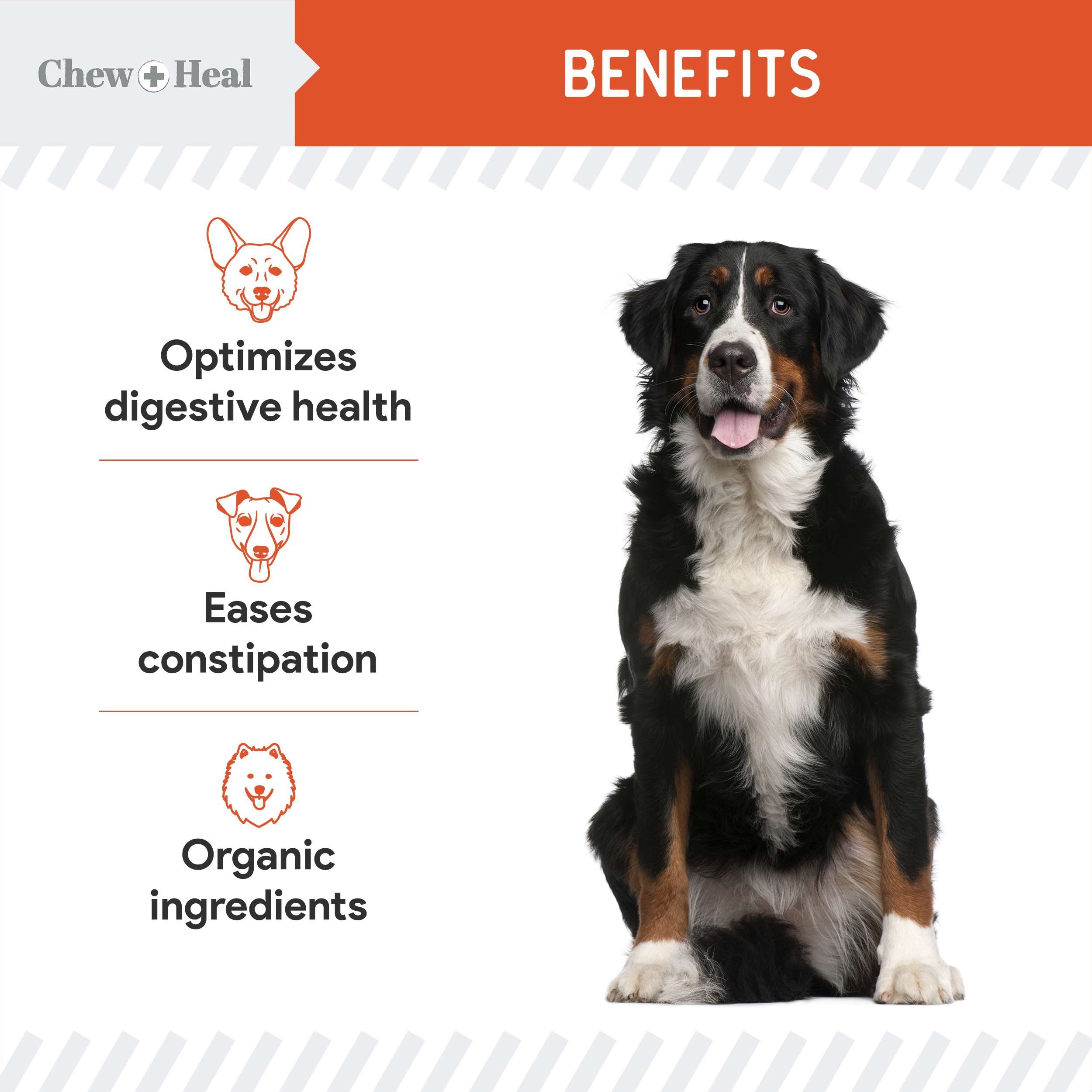 Organic Pumpkin Digestive Defense Superfood Blend Powder Digestive Aid Supplement for Dogs
