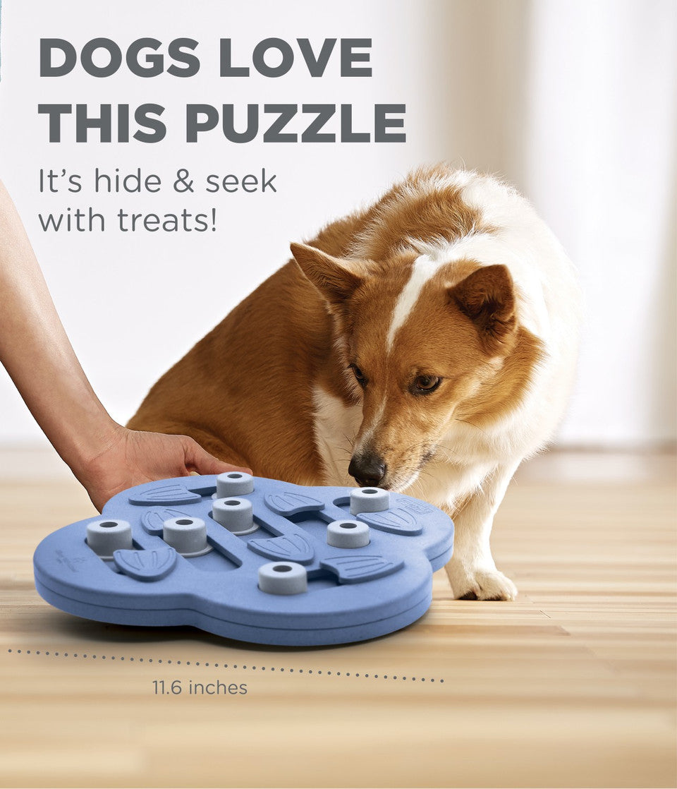 Dog Hide N' Slide Interactive Treat Puzzle Dog Toy, Purple