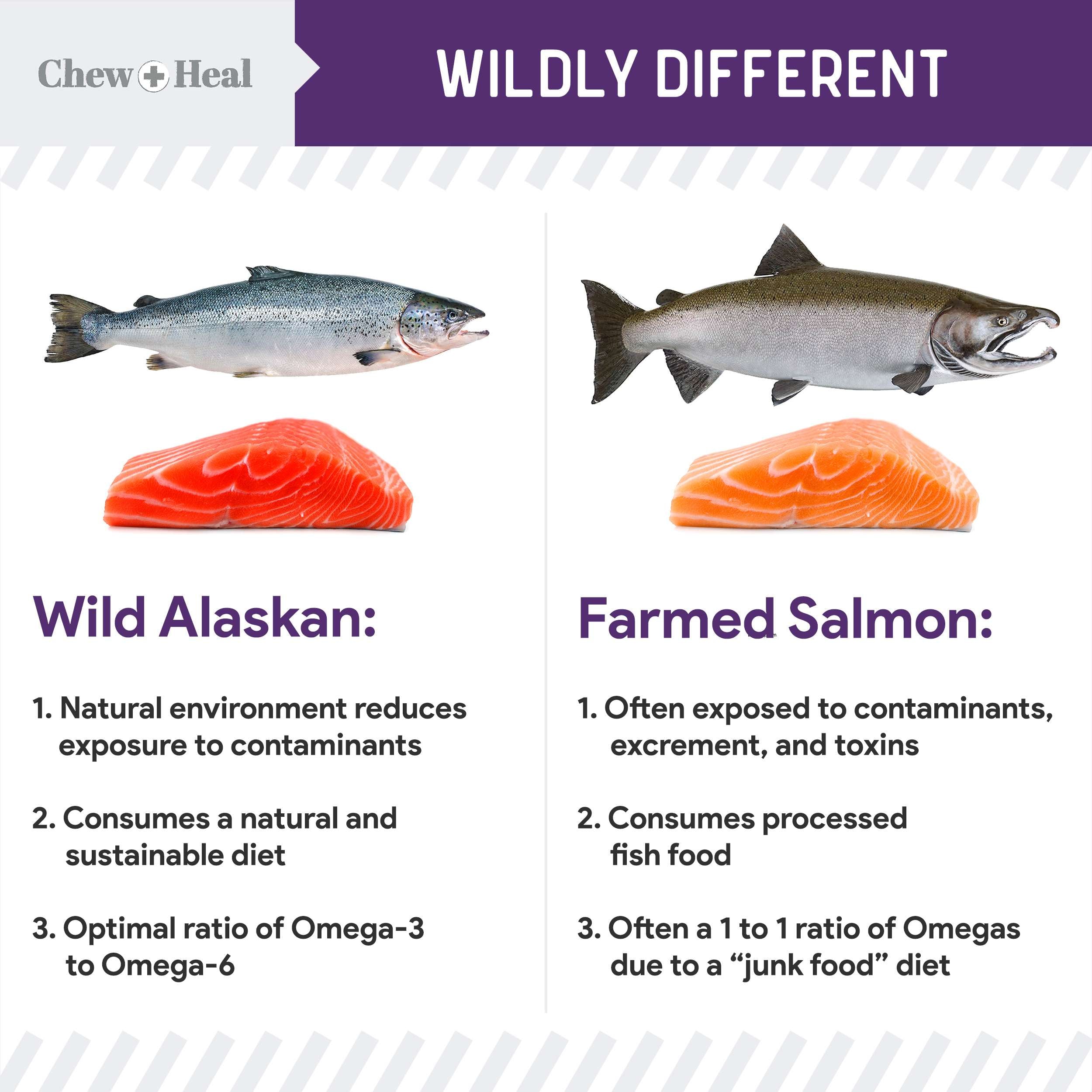 Mobility Wild Alaskan Salmon Limited Ingredient Soft Jerky Dog Treats