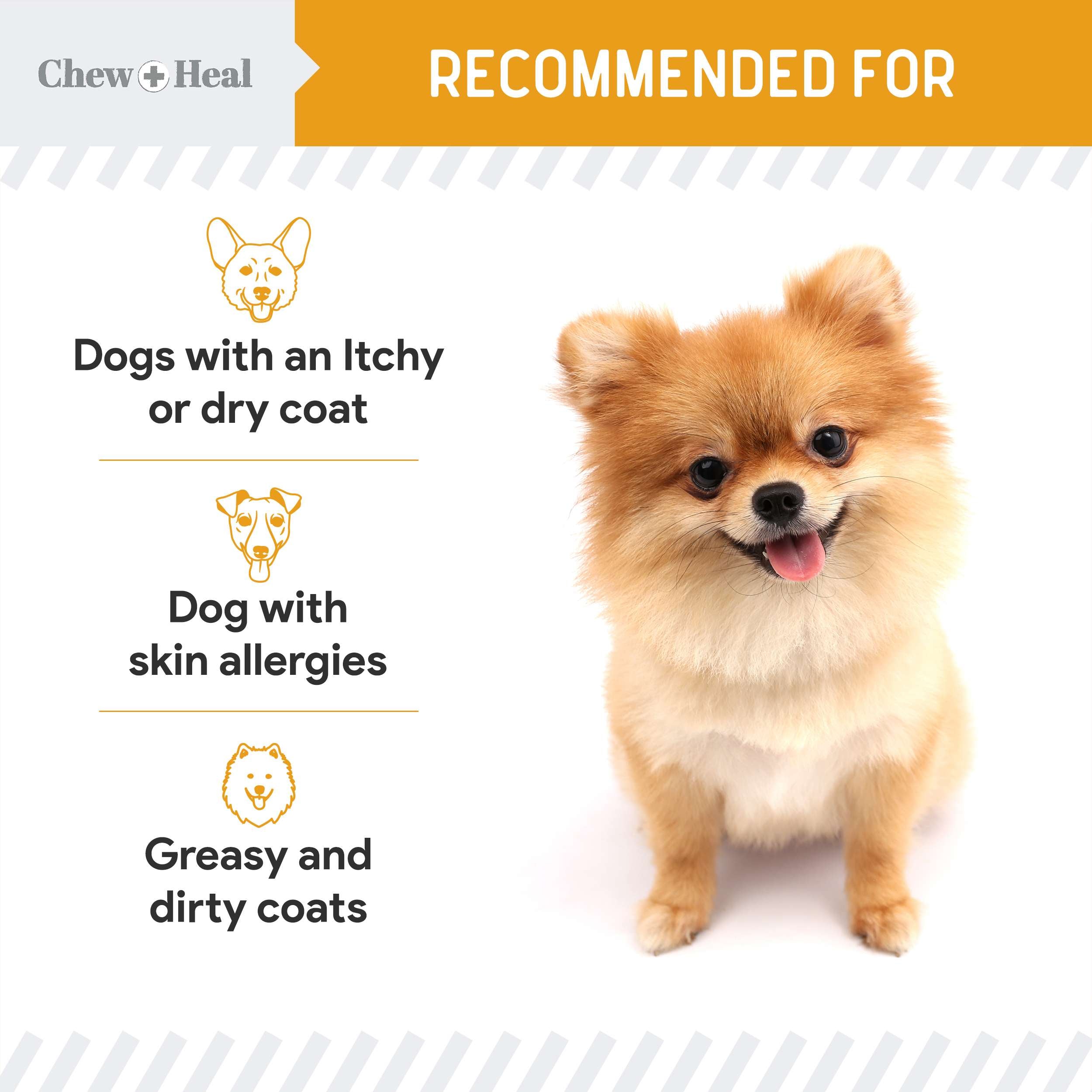 Norwegian Salmon Oil Skin & Coat Supplement for Dogs & Cats