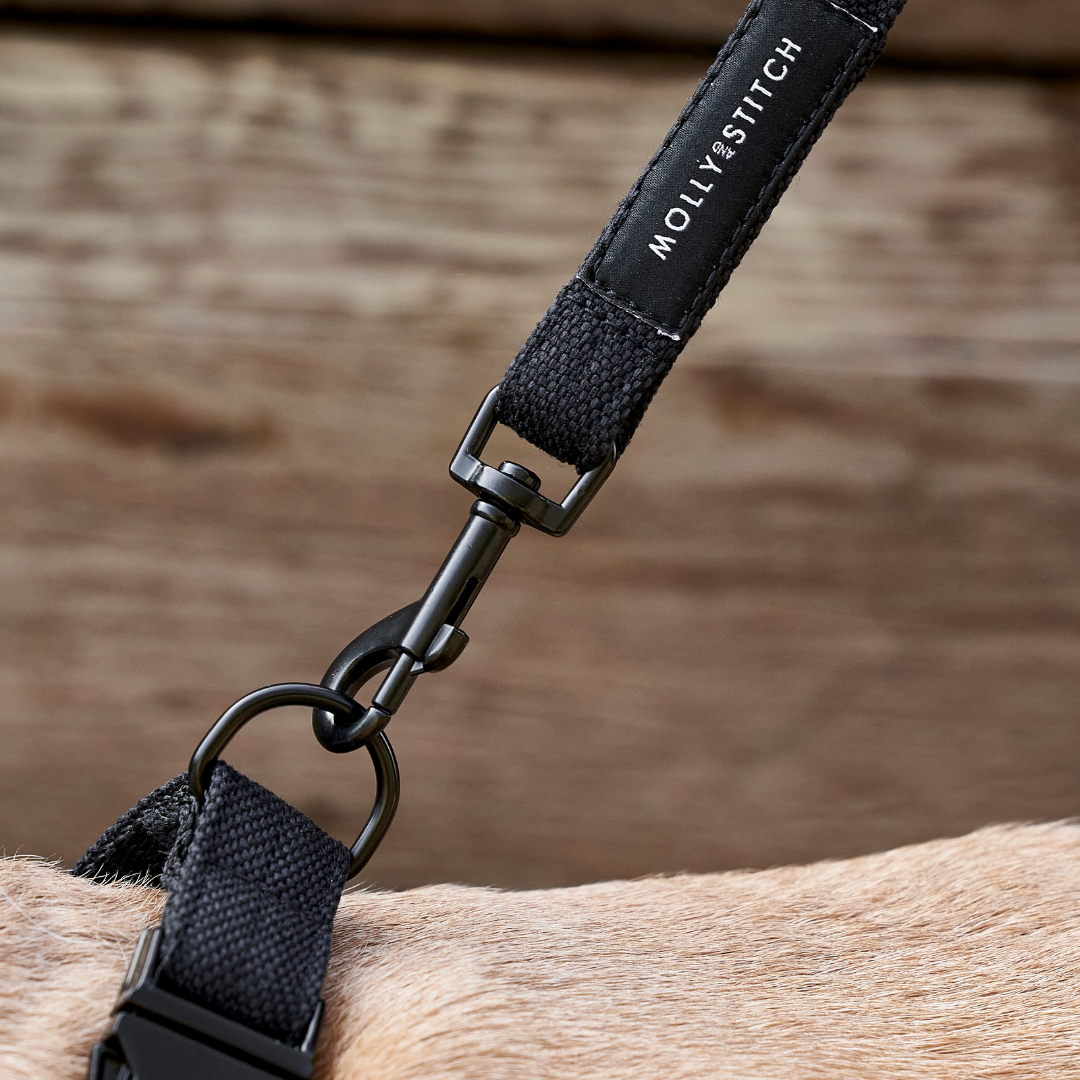 Soft Rock City Leash - Black