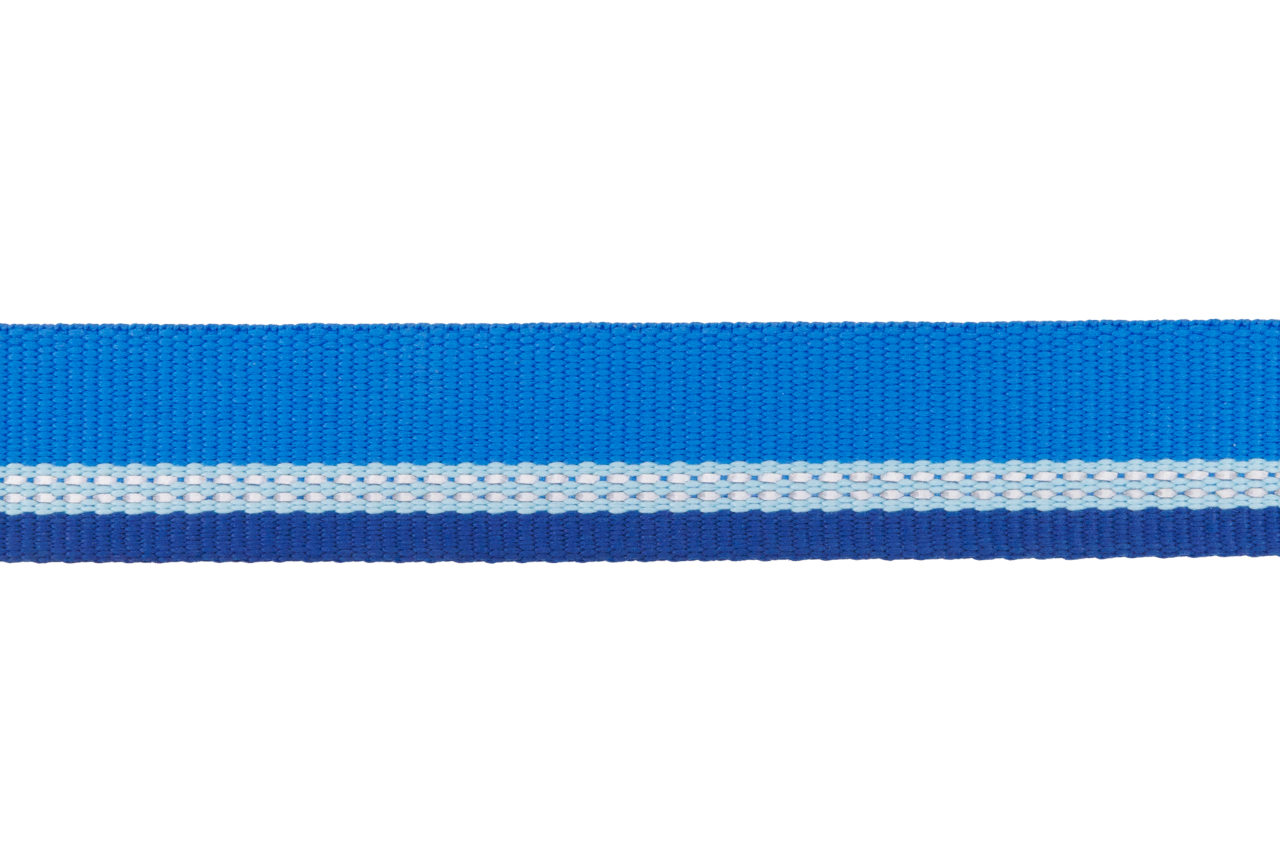 Top Rope™ Metal Buckle Dog Collar