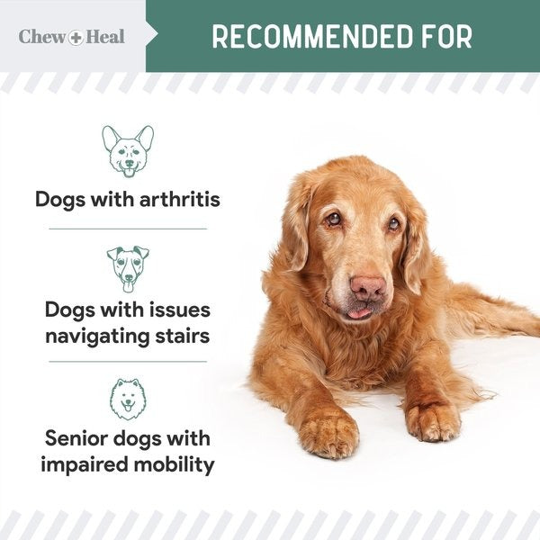 Senior Hip & Joint Dog Supplement