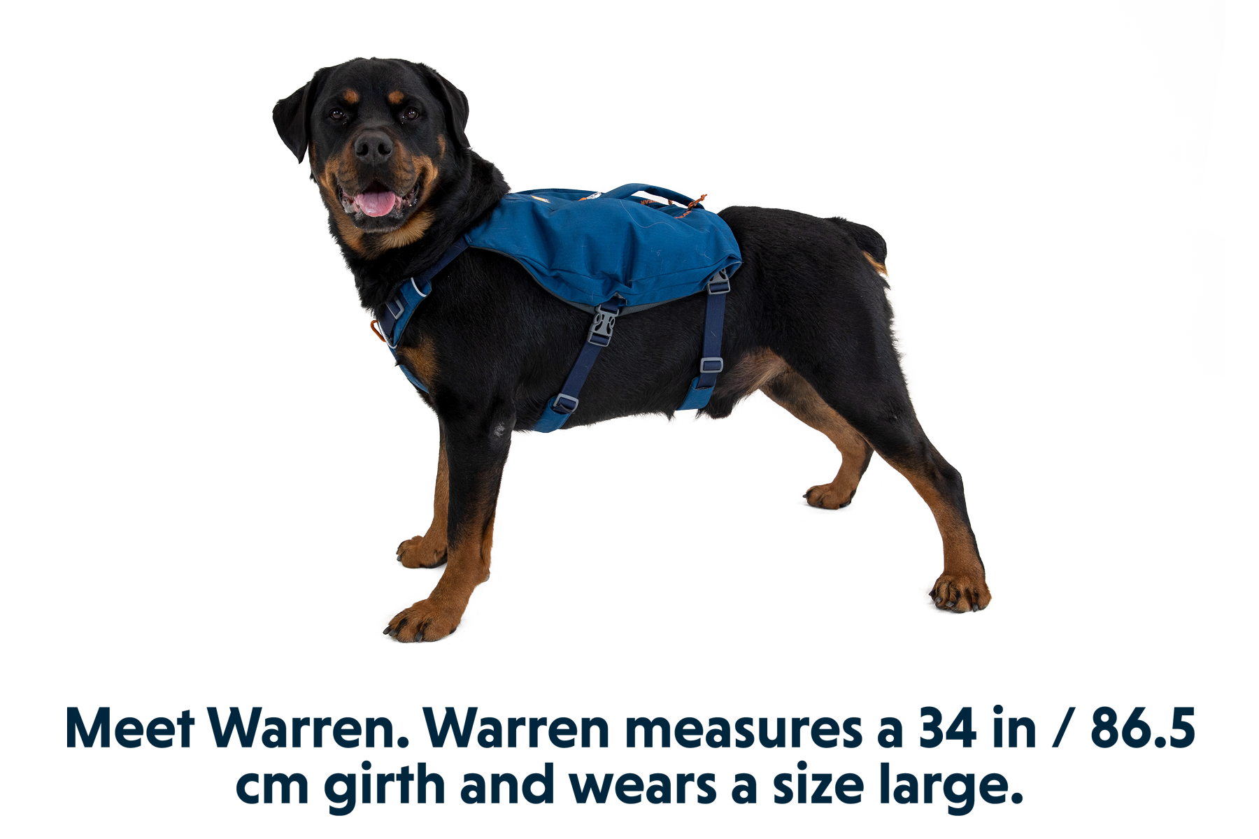 Switchbak™ Dog Harness