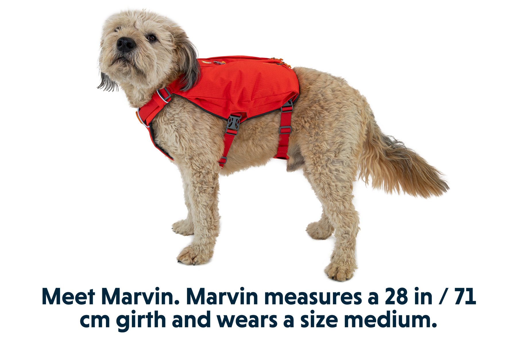 Switchbak™ Dog Harness
