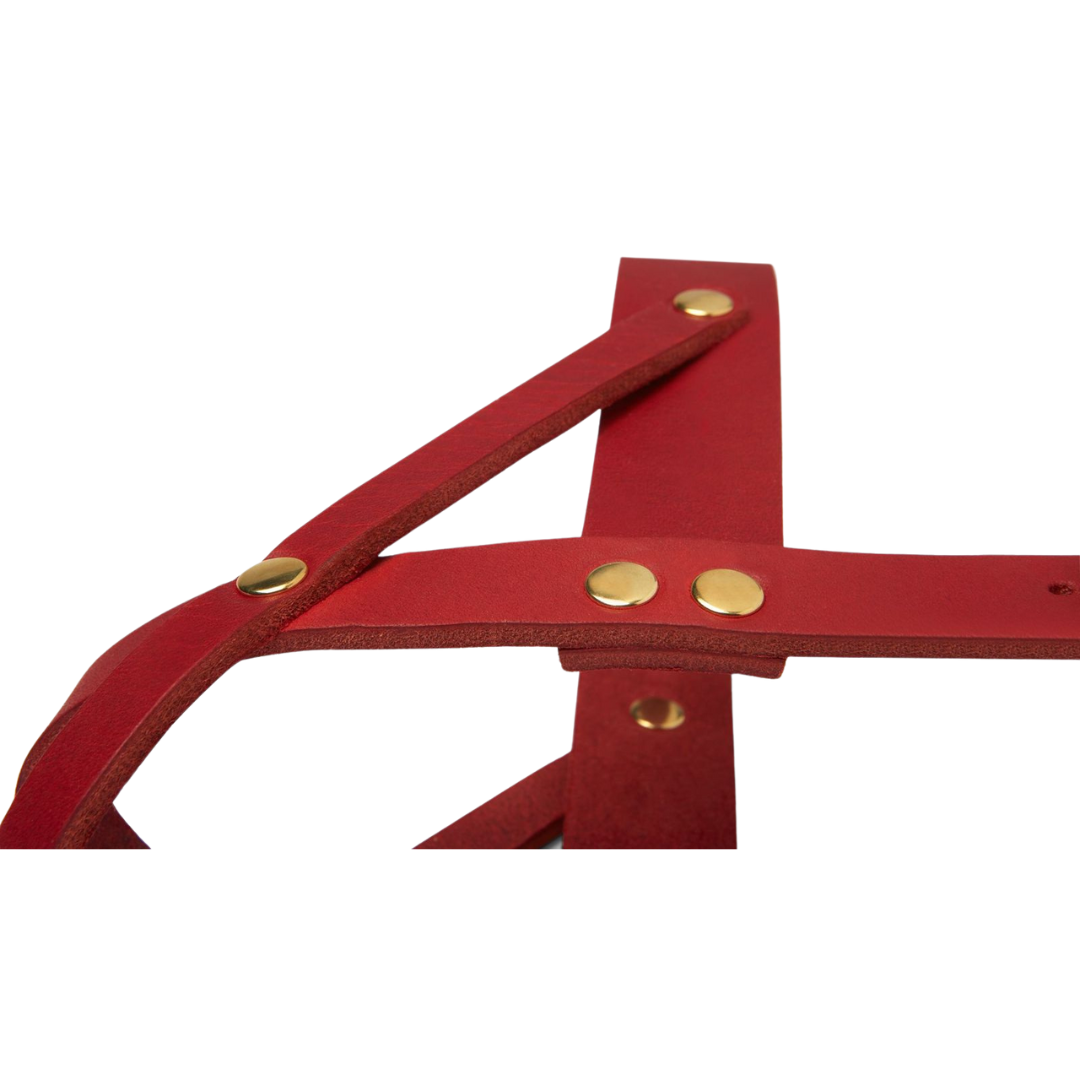 Butter Leather Dog Harness - Chili Red