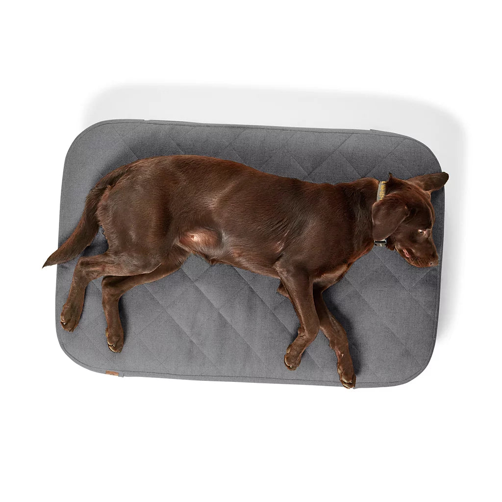 Orvis RecoveryZone® ToughChew® Lounger Dog Bed