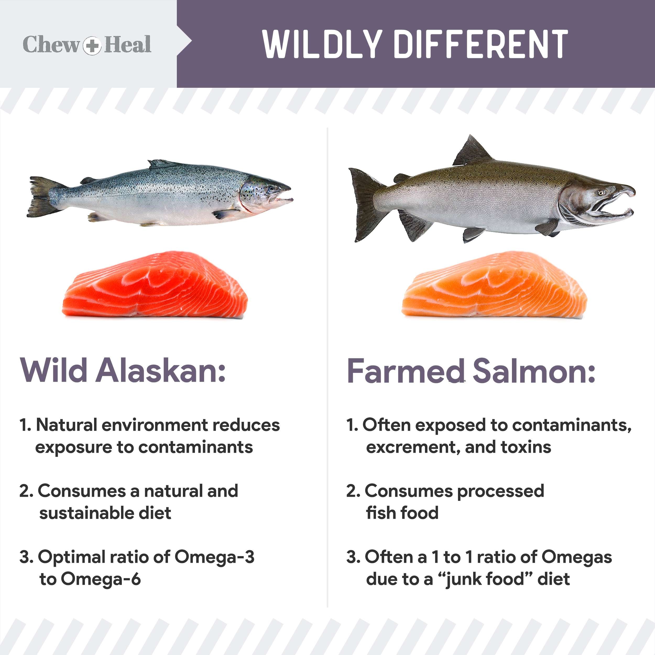 Senior Wild Alaskan Salmon Limited Ingredient Soft Jerky Dog Treats