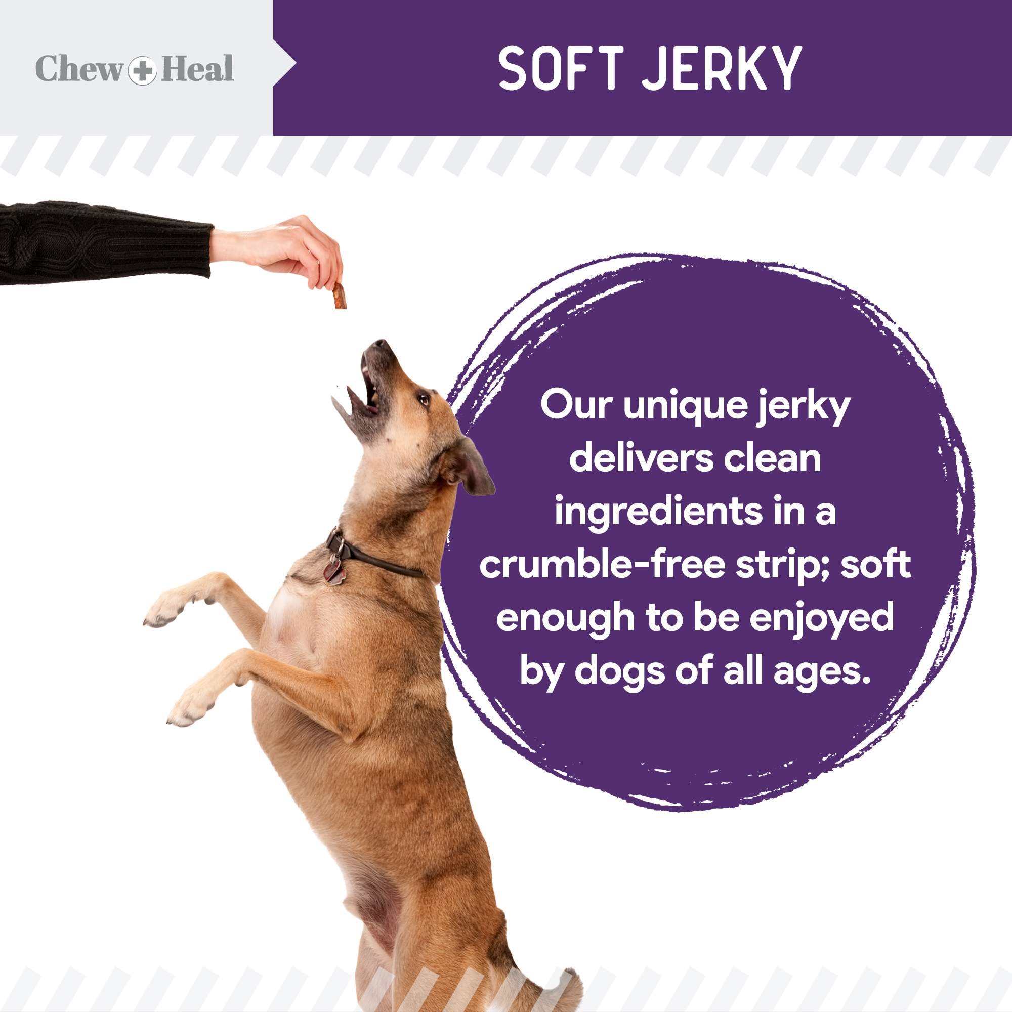 Mobility Wild Alaskan Salmon Limited Ingredient Soft Jerky Dog Treats