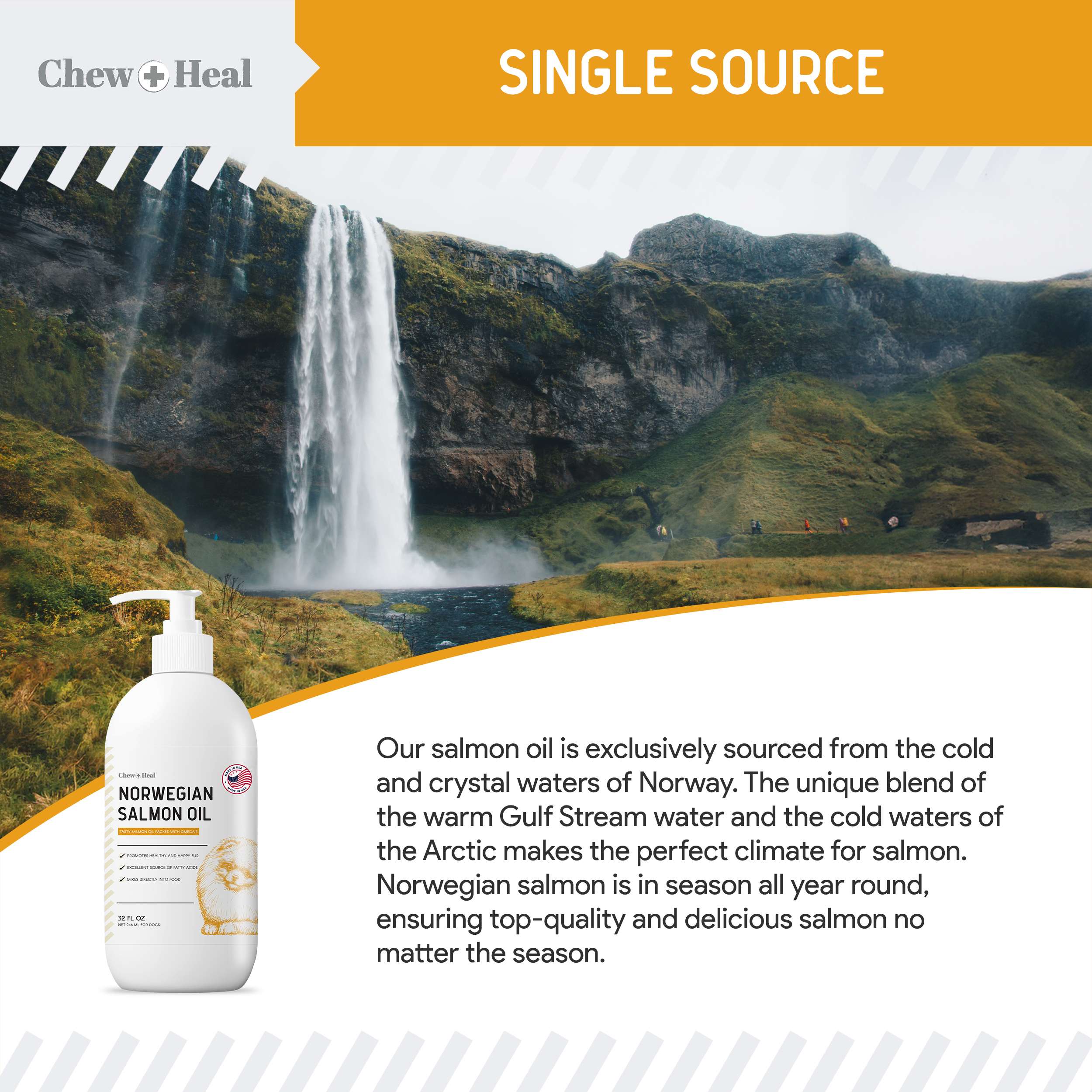 Norwegian Salmon Oil Skin & Coat Supplement for Dogs & Cats
