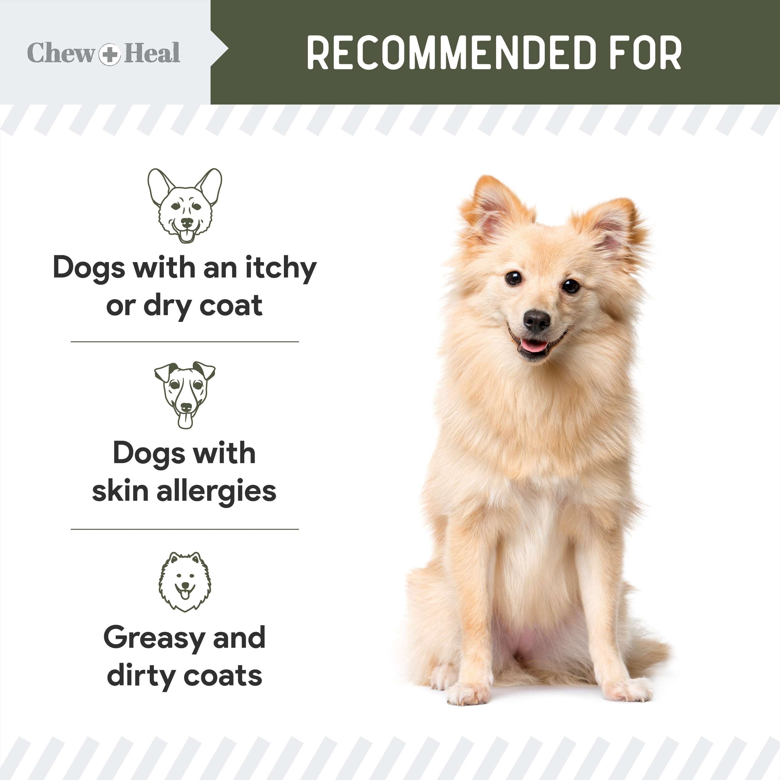 Wild-Caught Cod Liver Oil Salmon Oil Alternative Skin & Coat Liquid Supplement for Dogs