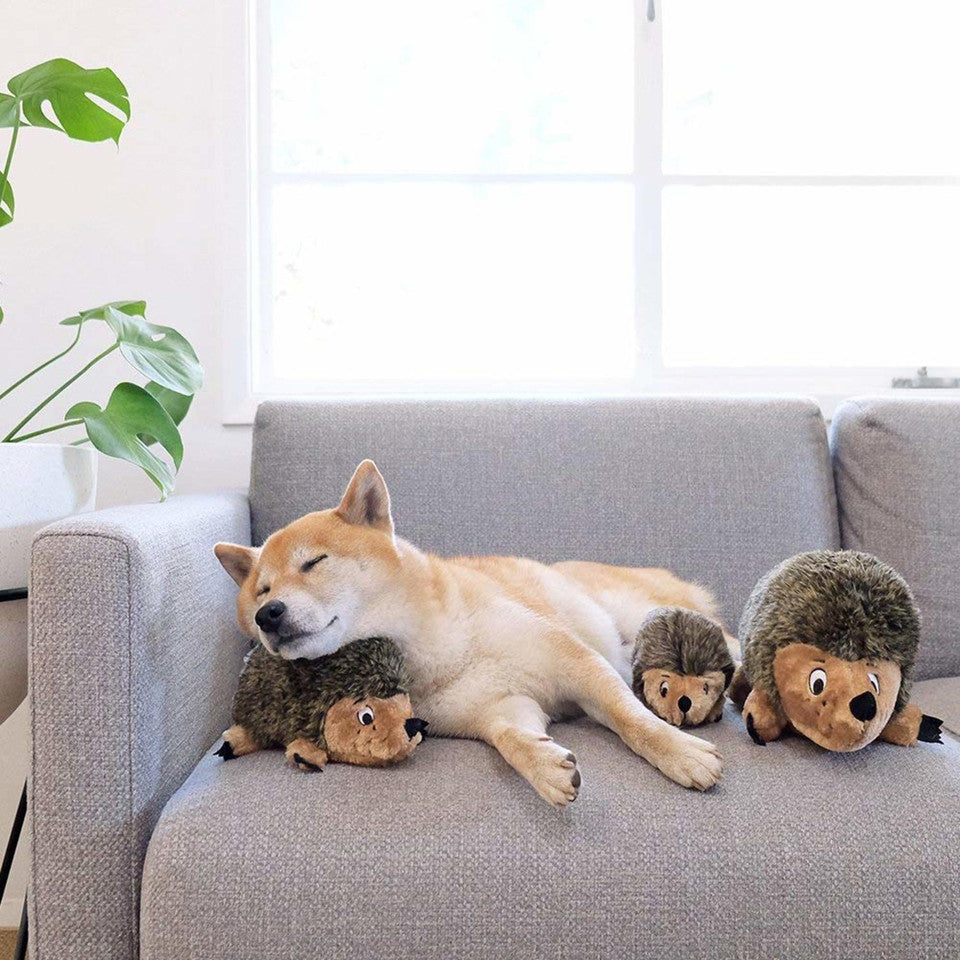 Hedgehogz Dog Toy