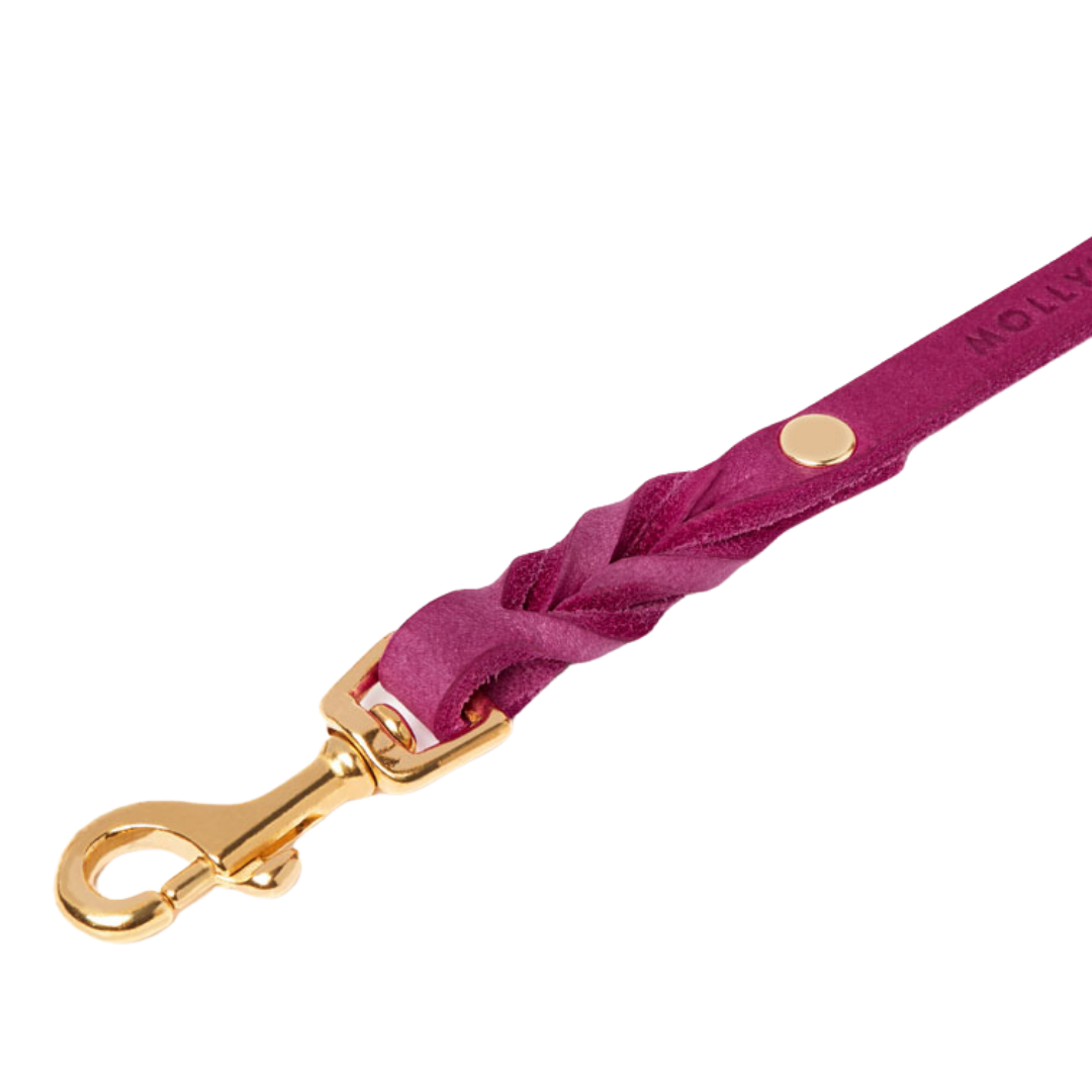 Butter Leather City Dog Leash - Flamingo