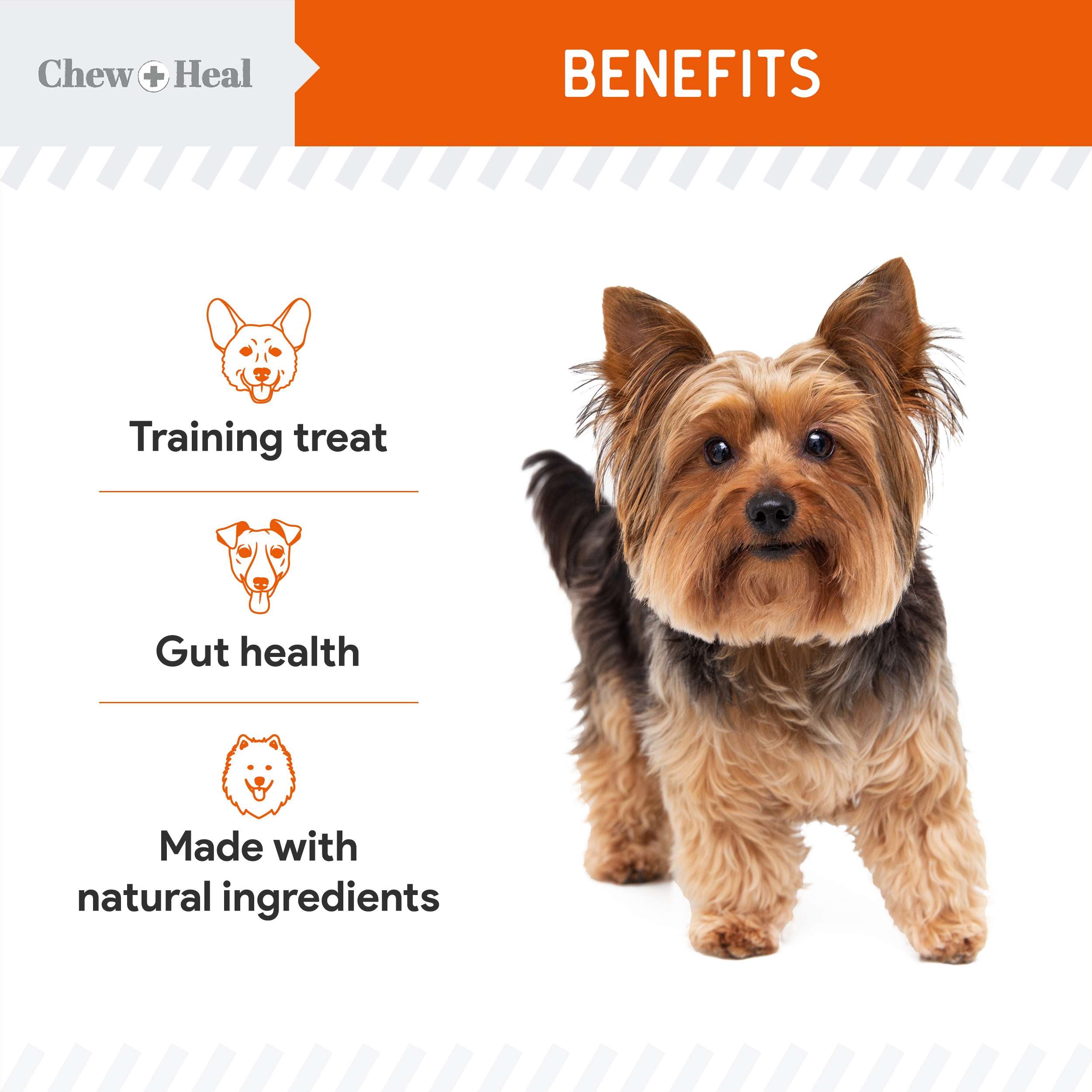 Pumpkin & Prebiotic Fiber Crunchy Biscuit Dog Treats
