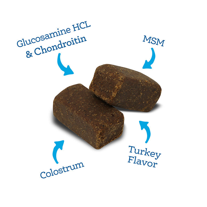 Soft Chew Mobility Supplement