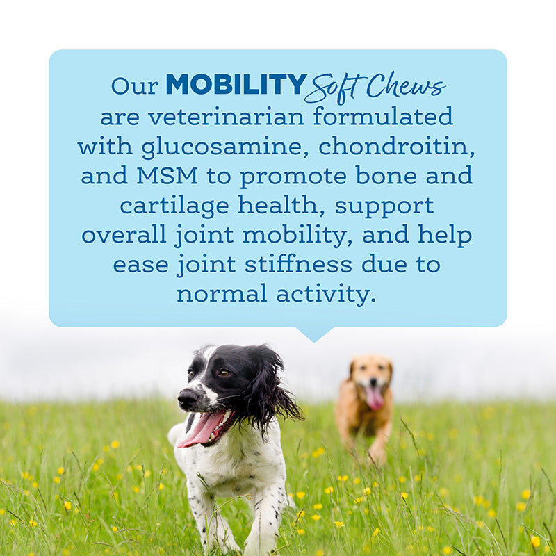 Soft Chew Mobility Supplement
