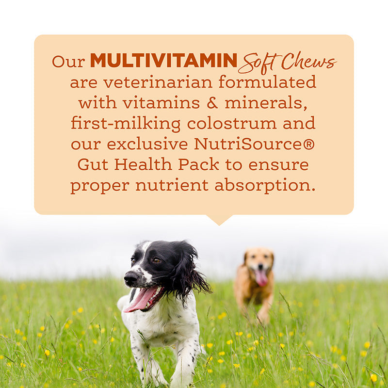 Soft Chew Multivitamin Supplement