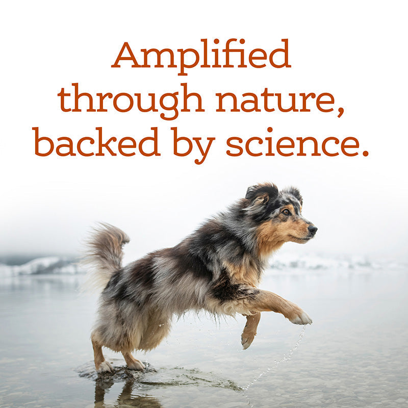 Soft Chew Multivitamin Supplement