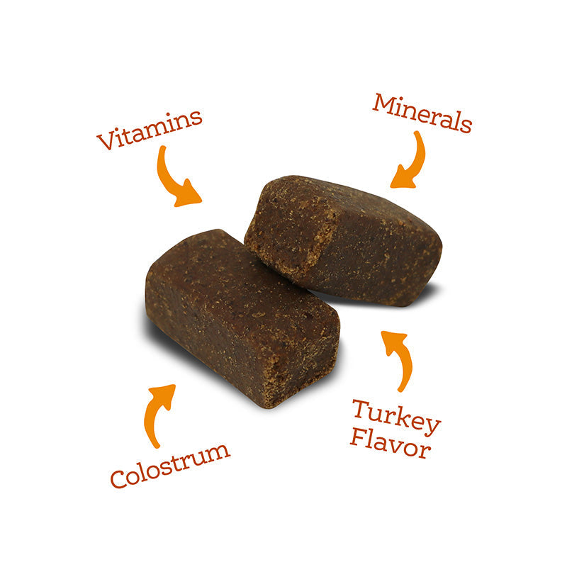 Soft Chew Multivitamin Supplement