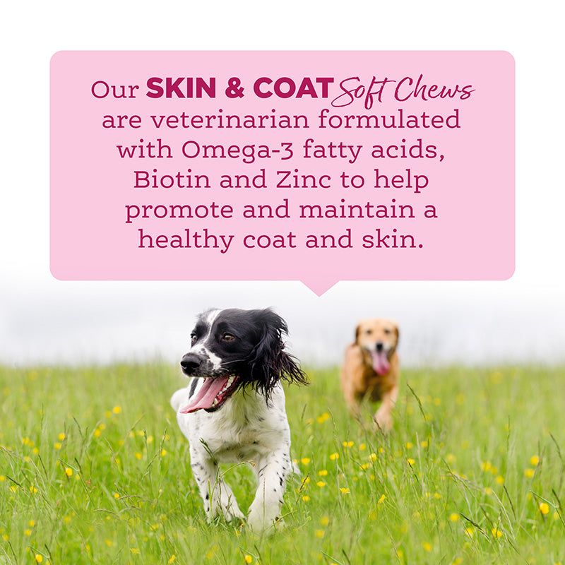 Soft Chew Skin & Coat Supplement