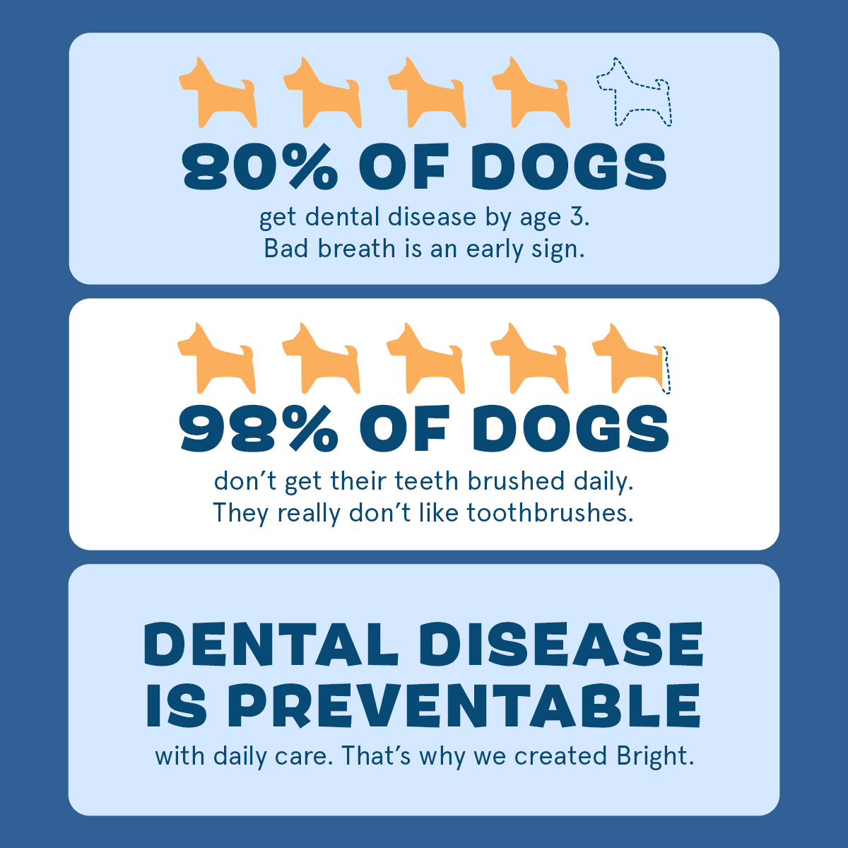 The Bright Dental Kit Subscription