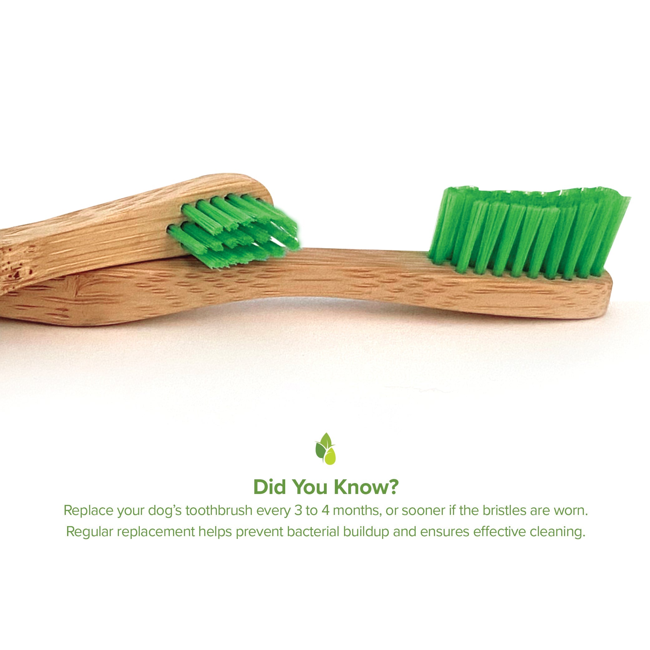 Bamboo Toothbrush for Small Dogs - Organic Dental Solutions®