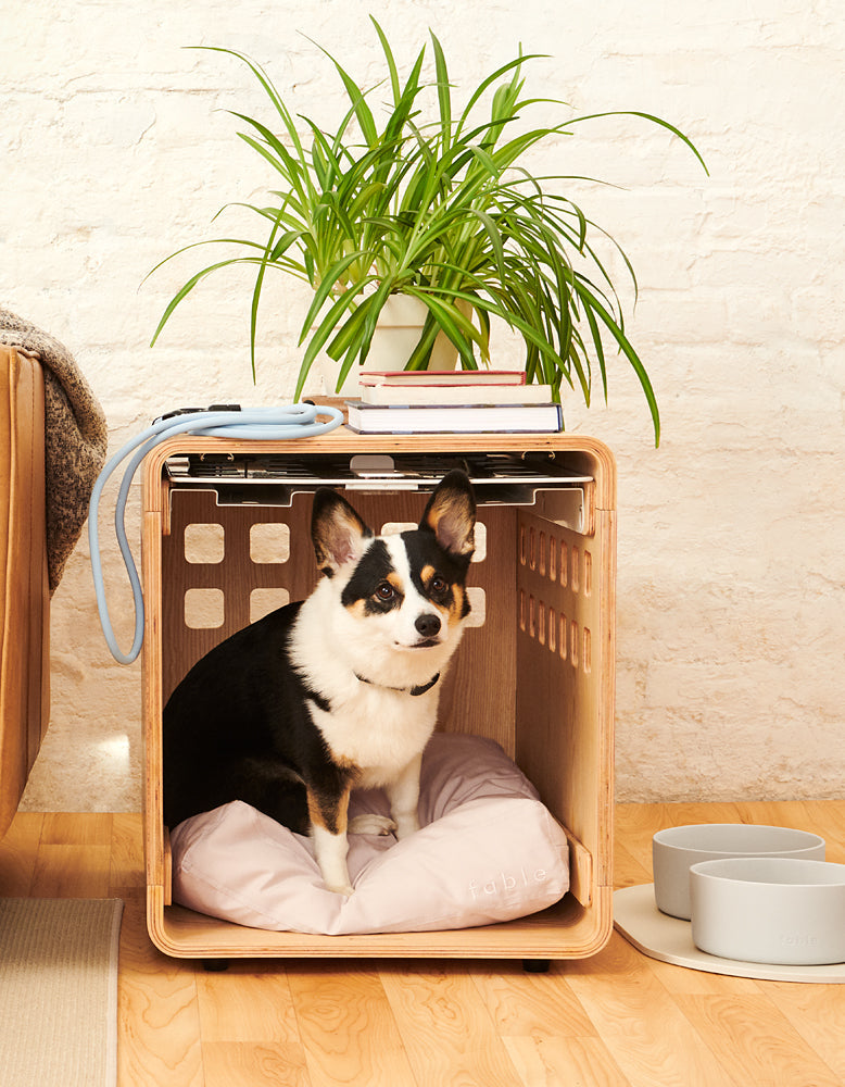 Crate
