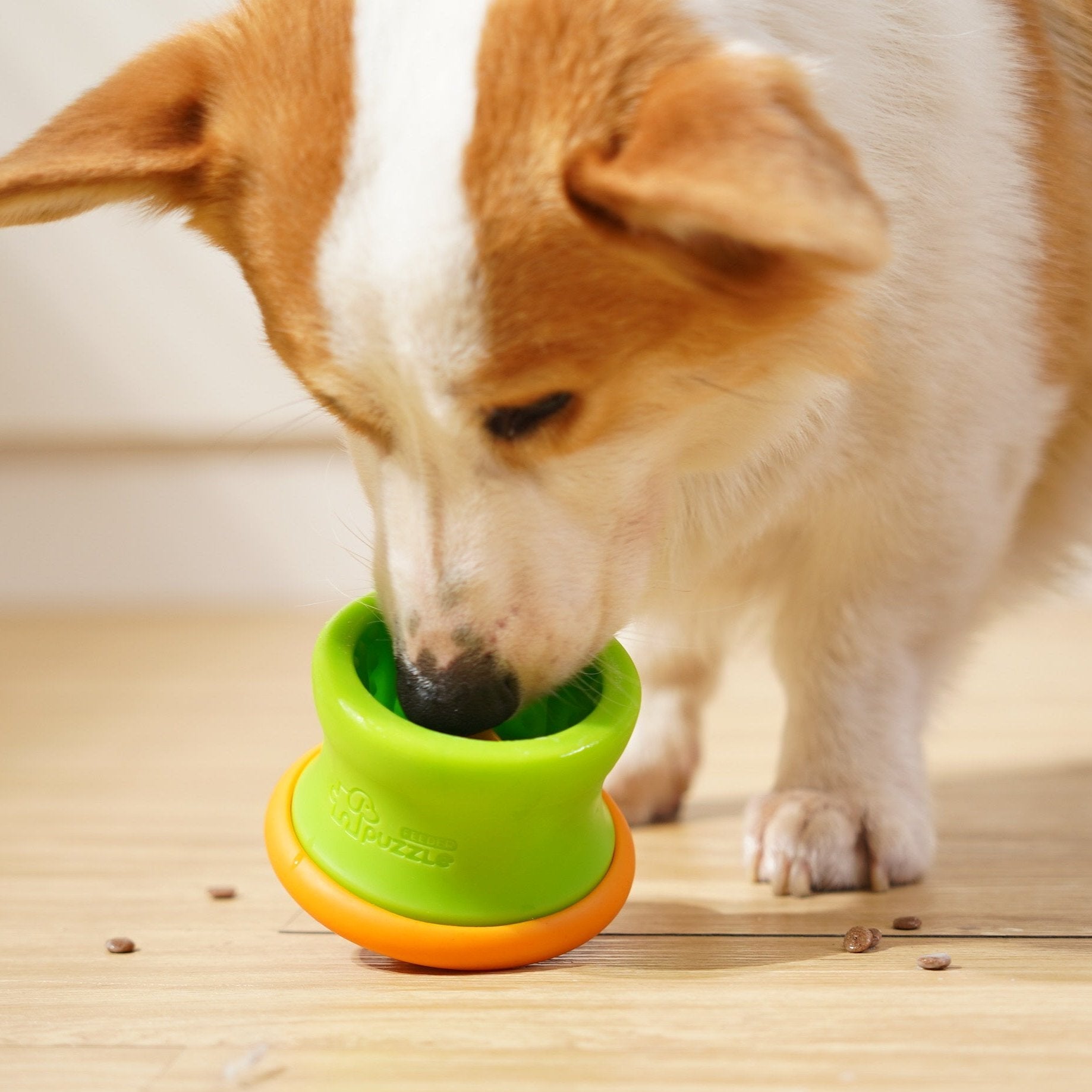 Dog Puzzle Tumbler M - Puzzle Feeder Enrichment Toy (for S/M Breeds)