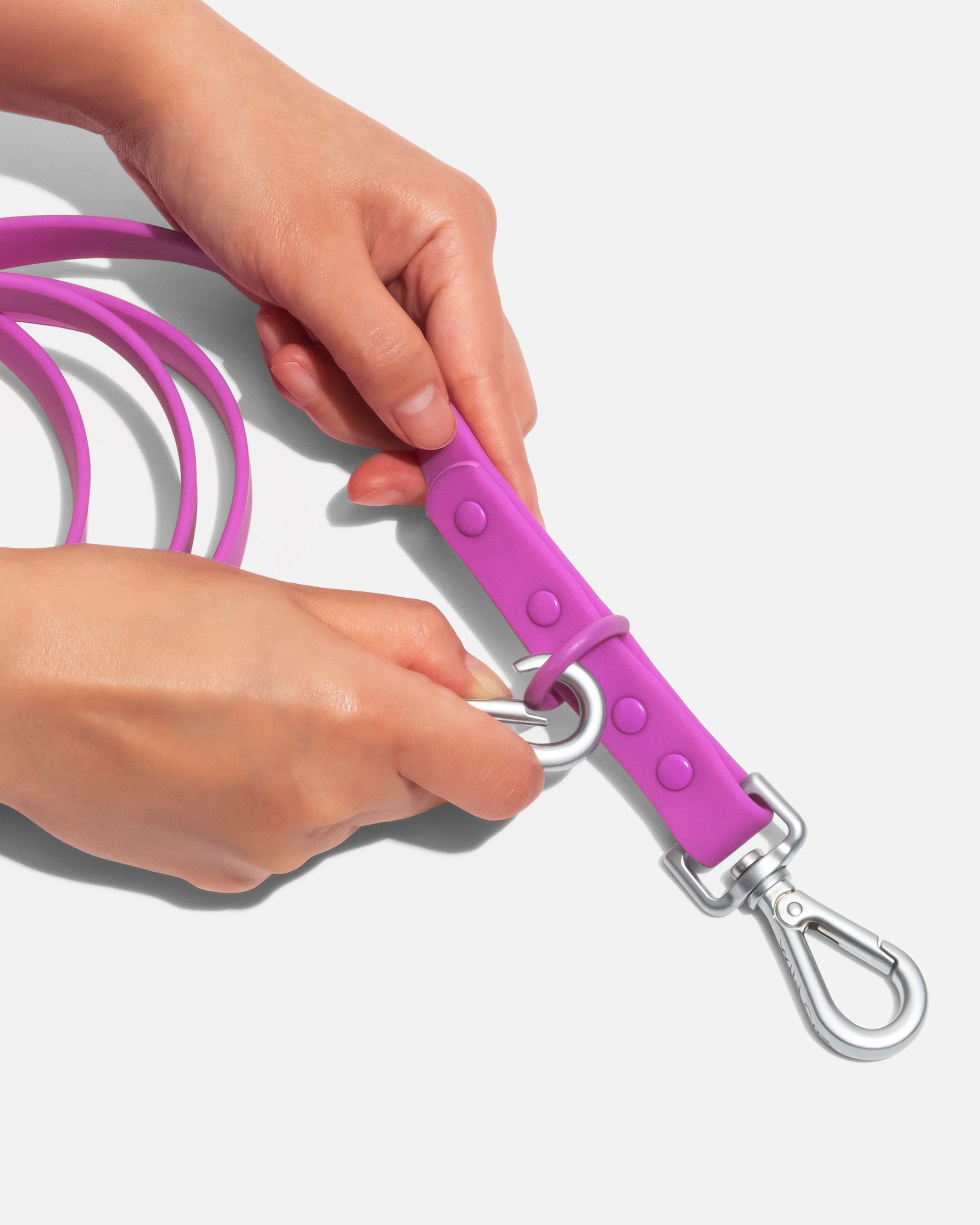 Dog Leash