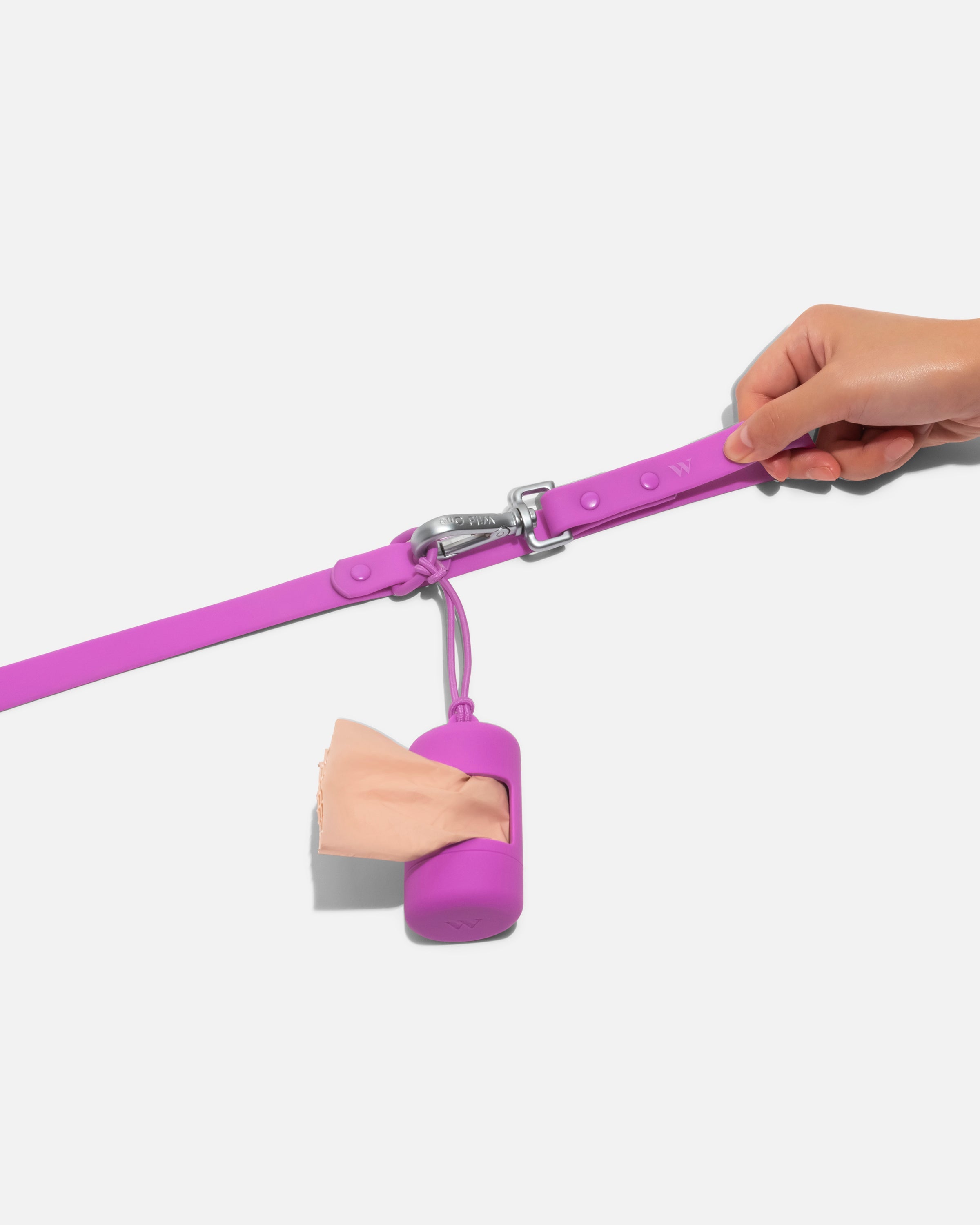 Dog Leash