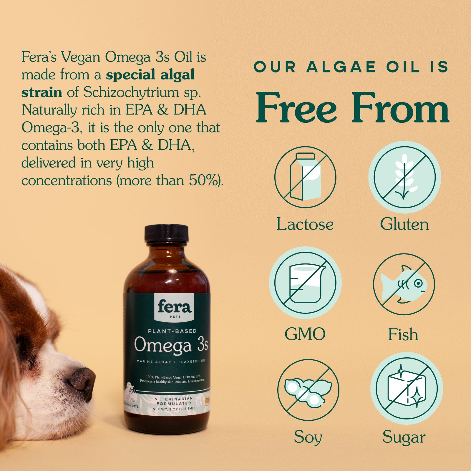 Algae Oil Omega-3, 6, 9