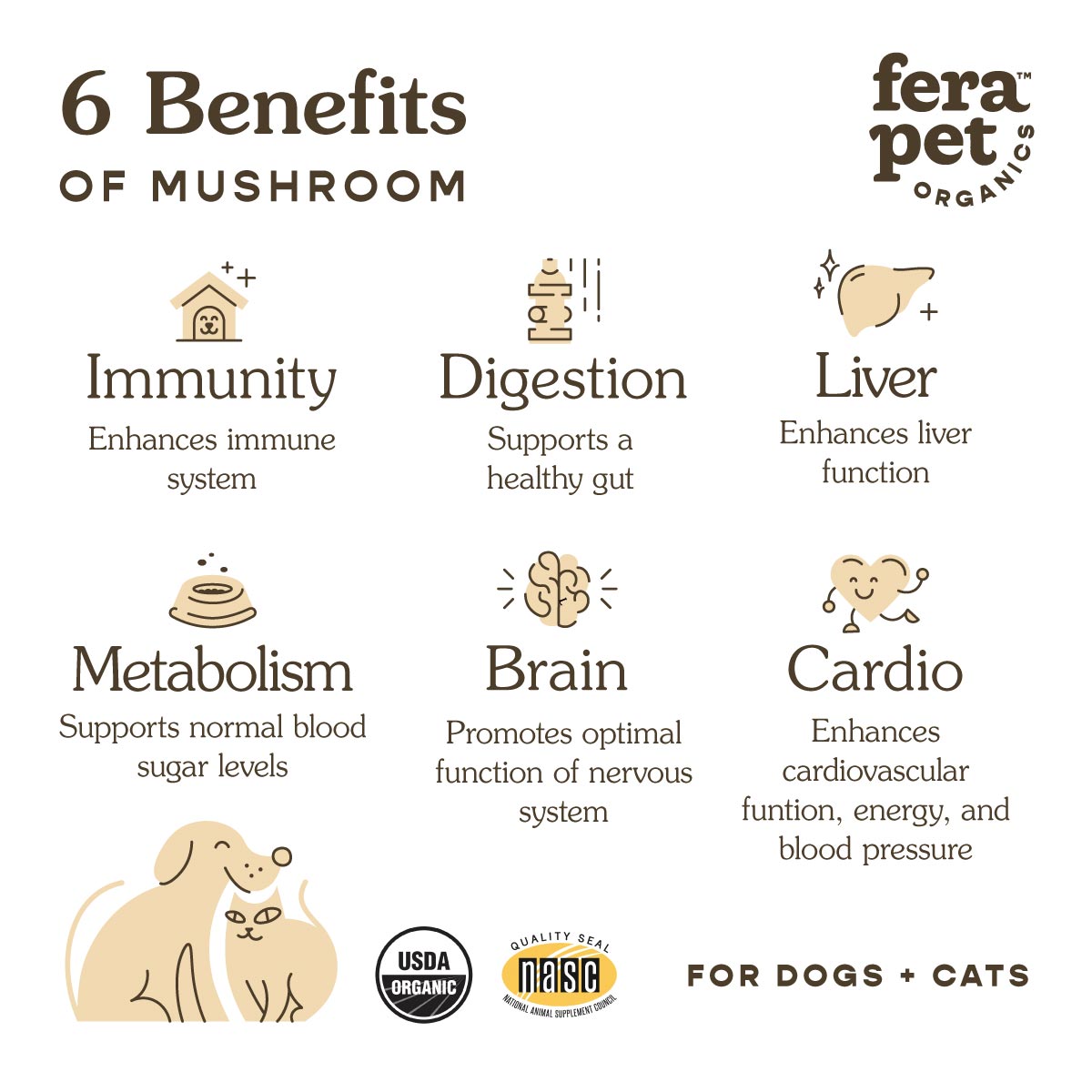 USDA Organic Mushroom Blend for Immune Support