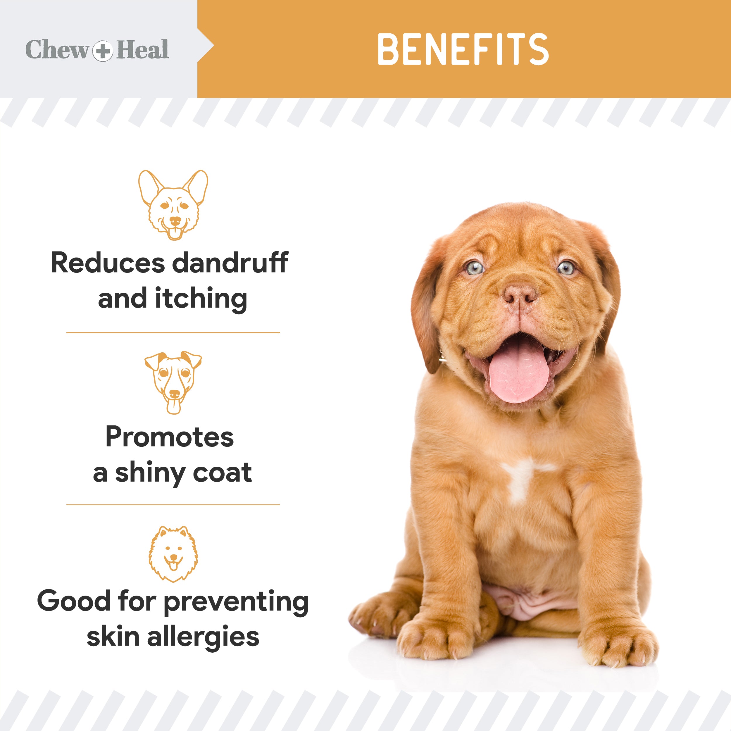 Omega Skin + Coat Dog Supplement