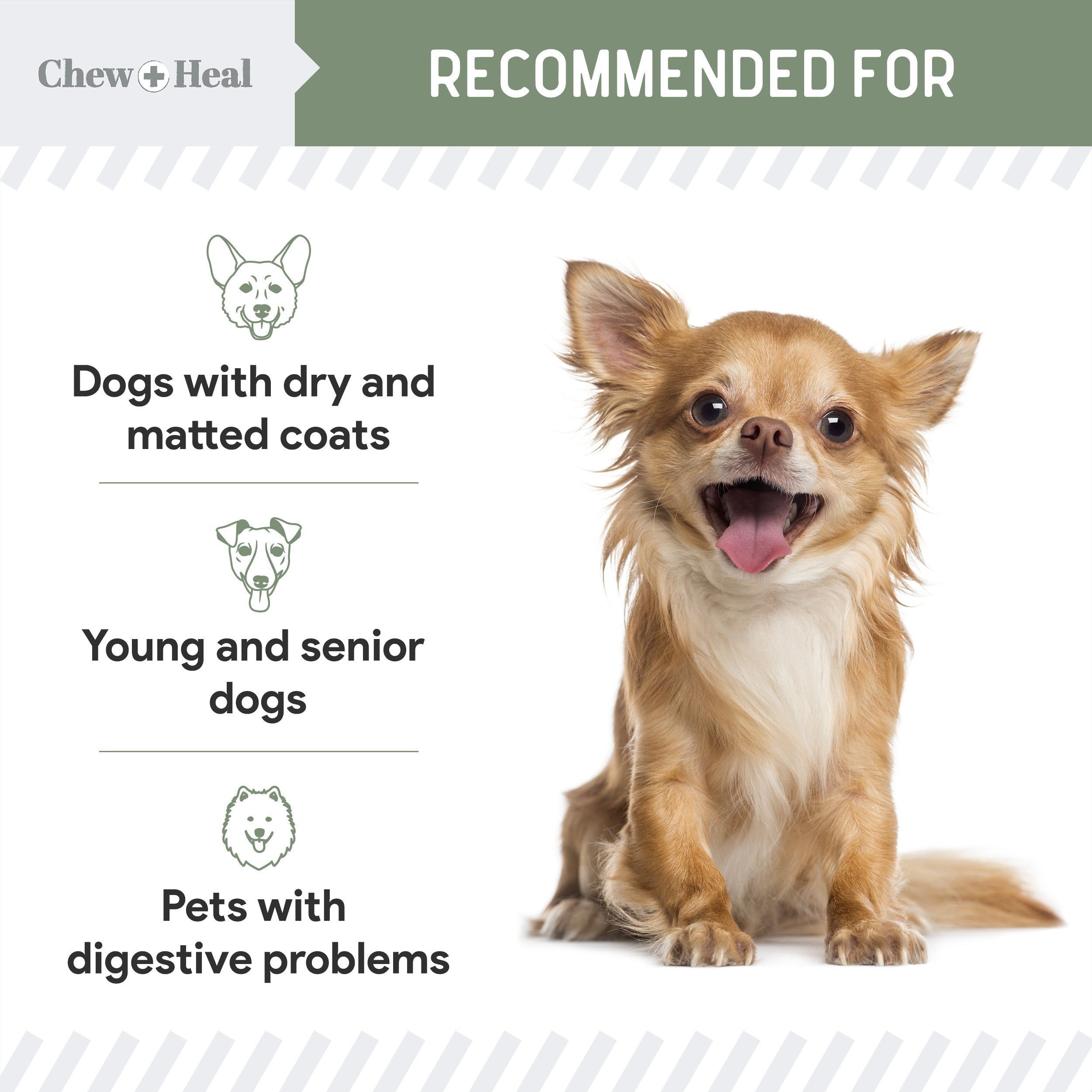 4-In-1 Support Multivitamin Dog Supplement