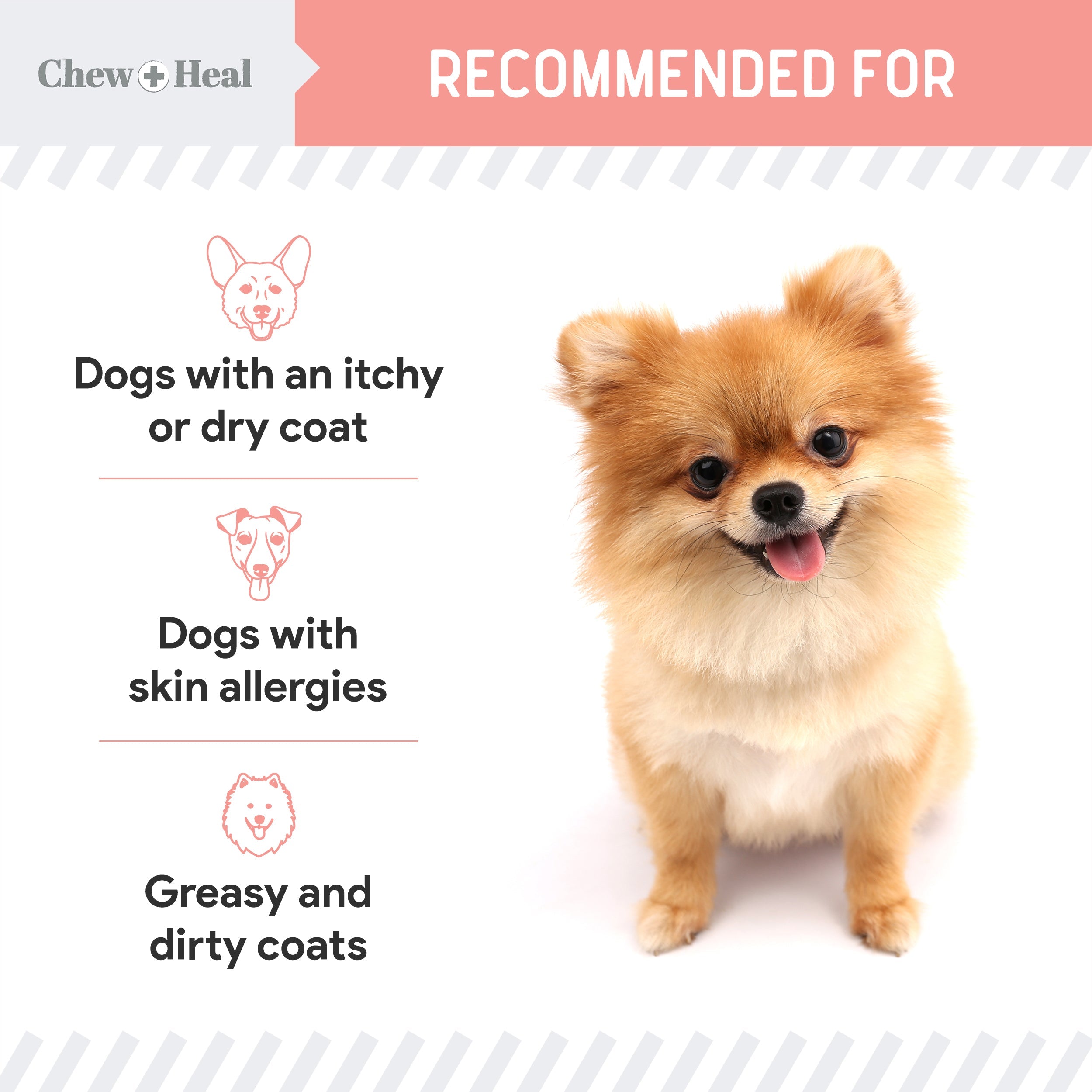 Wild Alaskan Omega Salmon Oil Formula Skin & Coat Liquid Supplement for Dogs