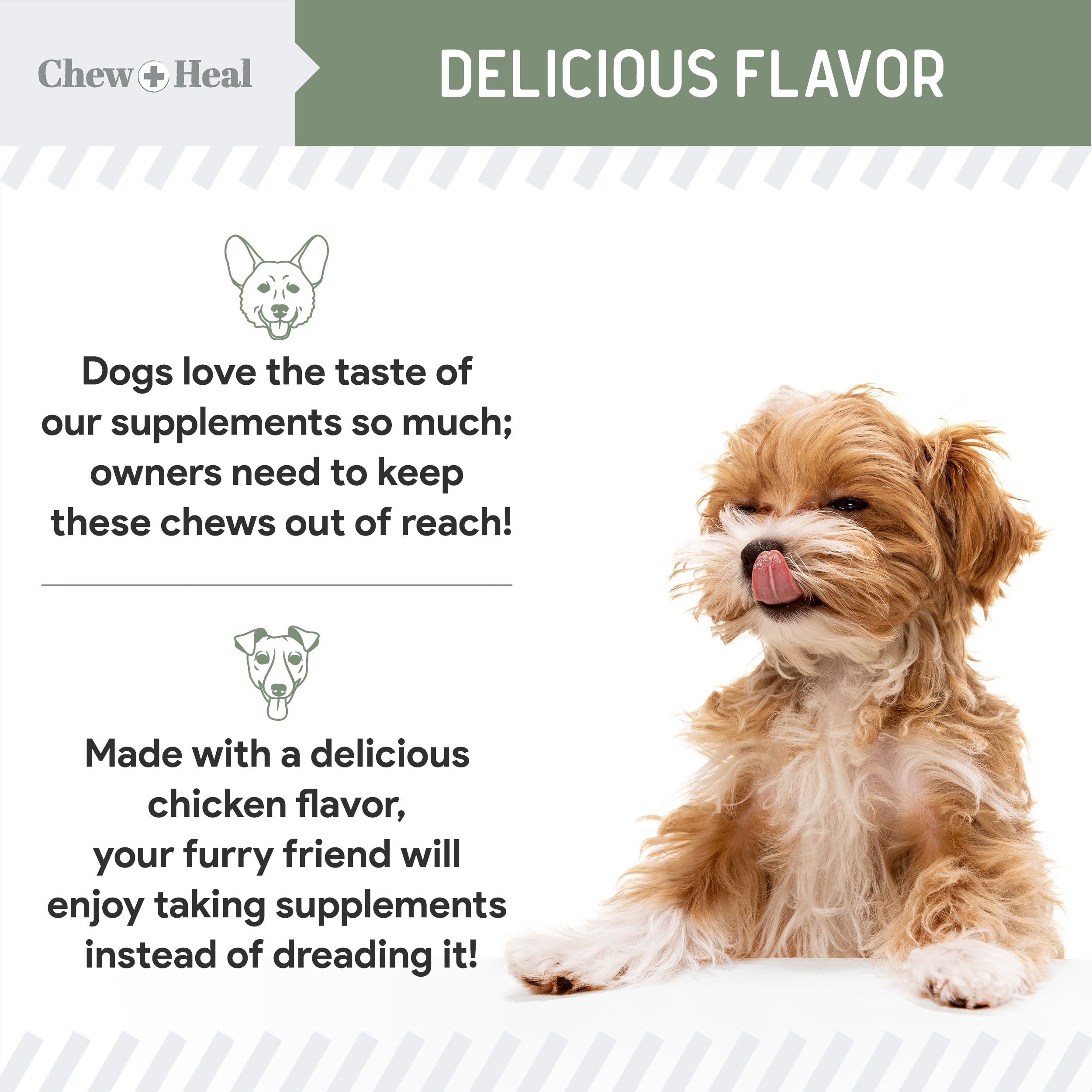 4-In-1 Support Multivitamin Dog Supplement
