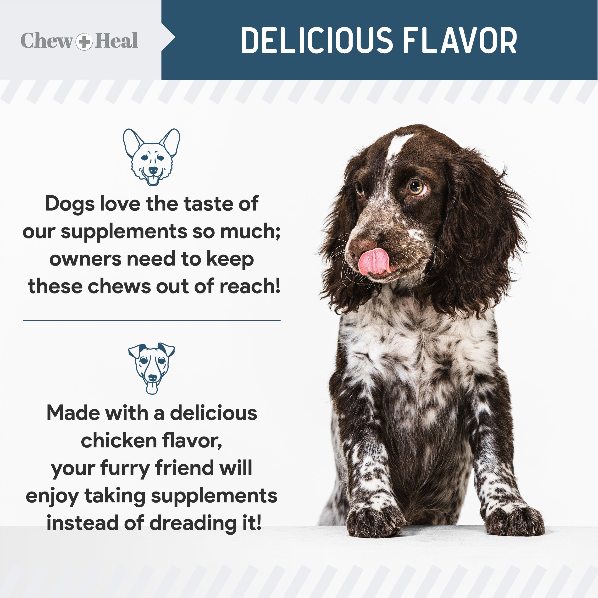 Digestive Enzymes & Probiotics Supplement for Dogs