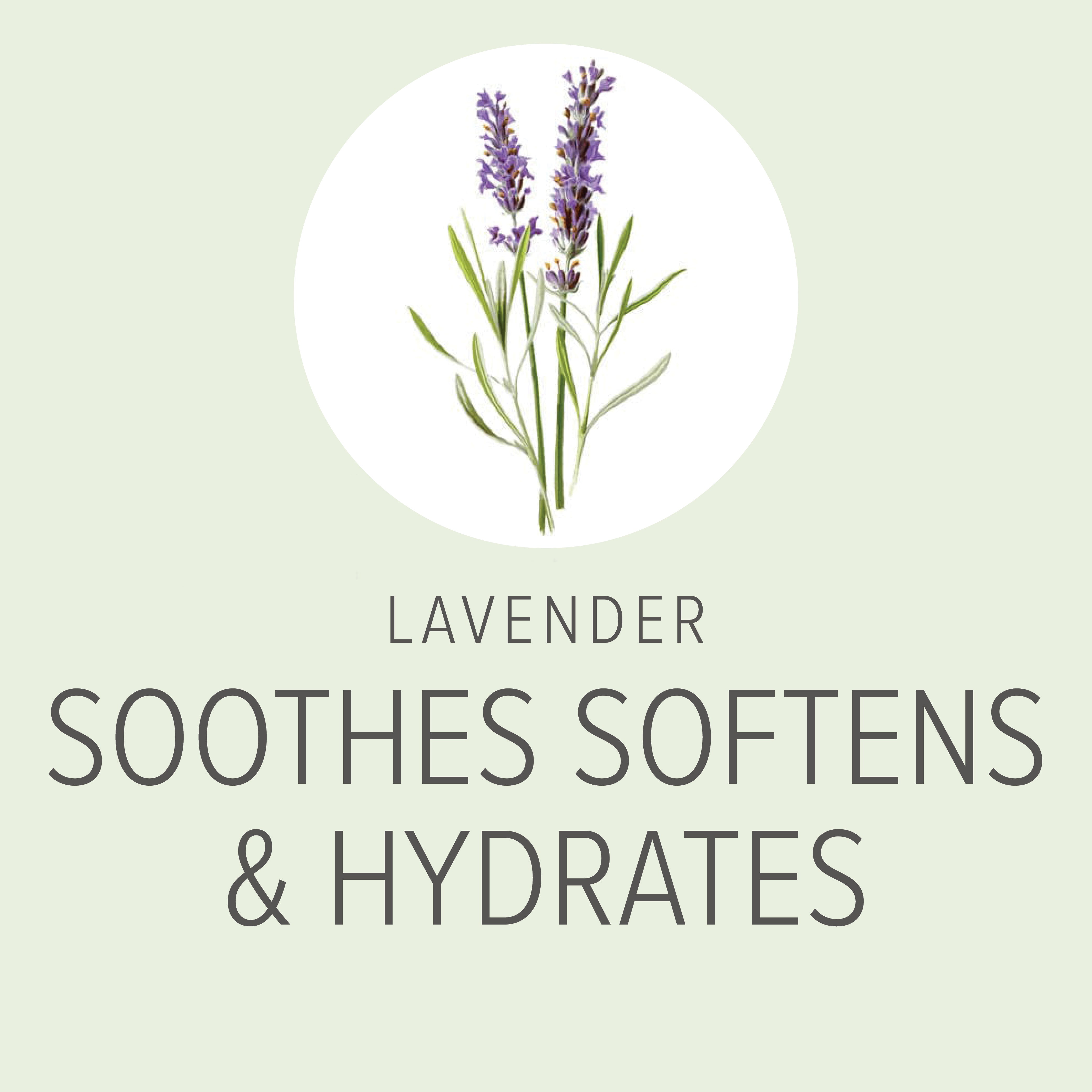 4-IN-1 Daily Shampoo & Conditioner (Lavender & Chamomile)