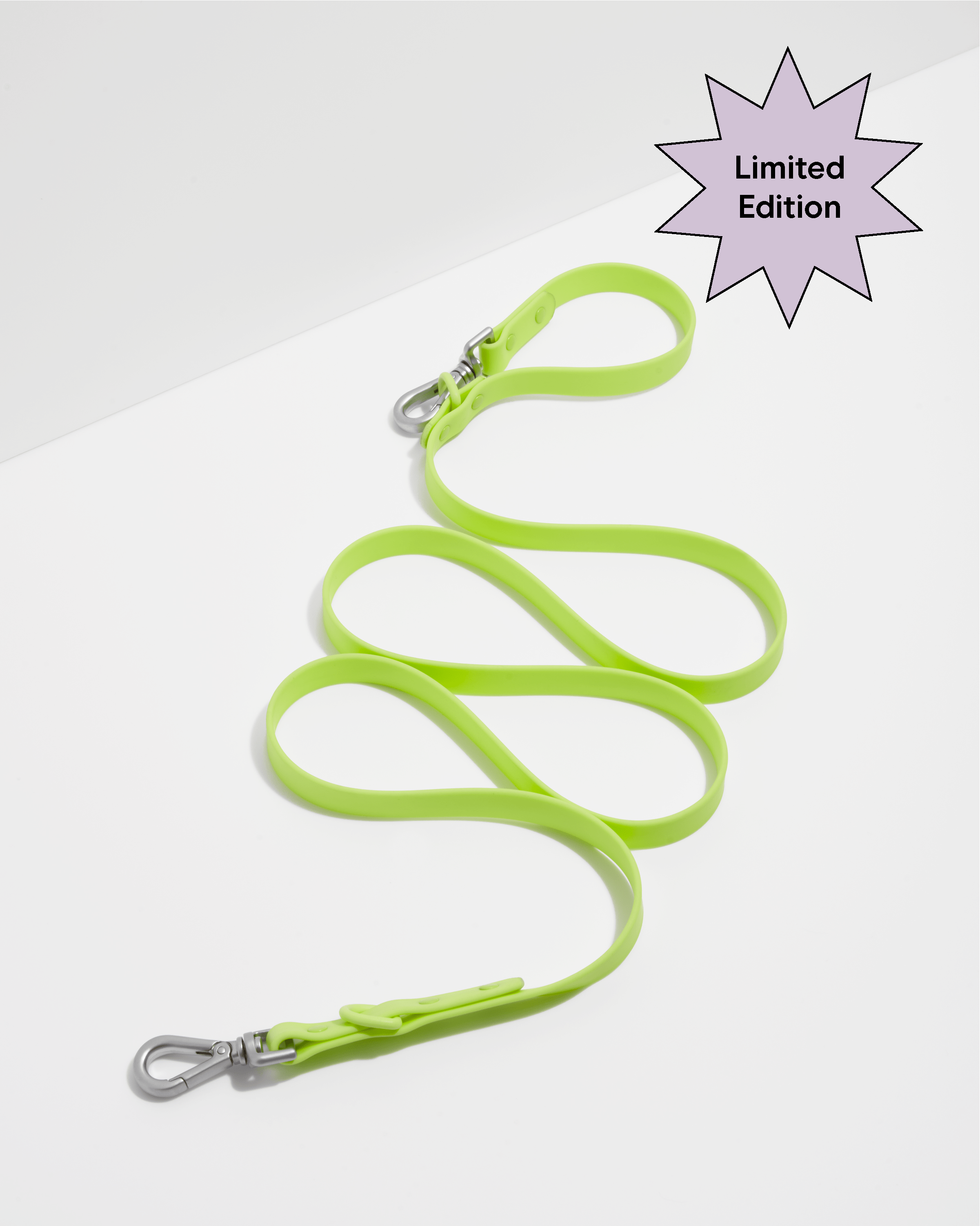 Dog Leash